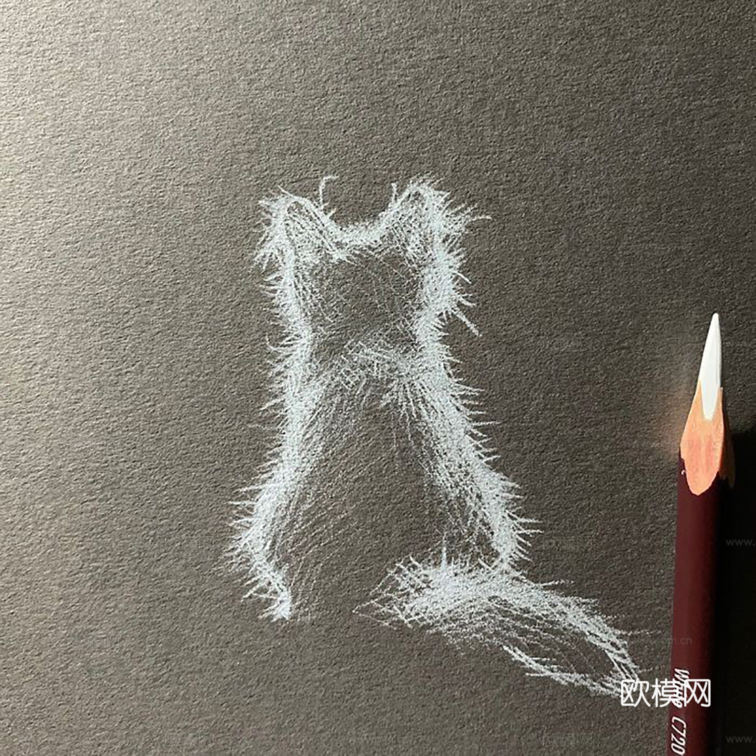 现代装饰画 动物挂画 立体实物挂画