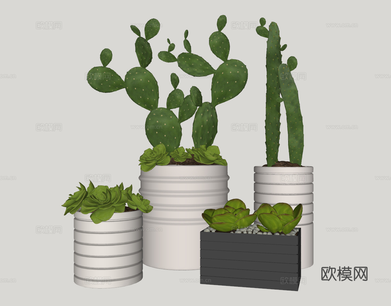 现代仙人掌多肉植物盆栽su模型下载