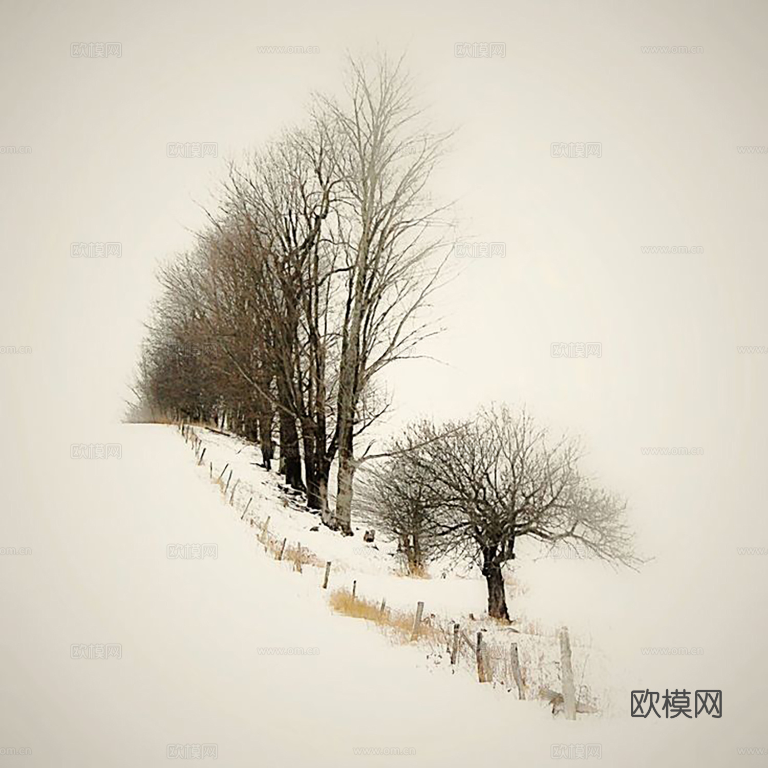 侘寂风挂画 植物装饰画 装饰画