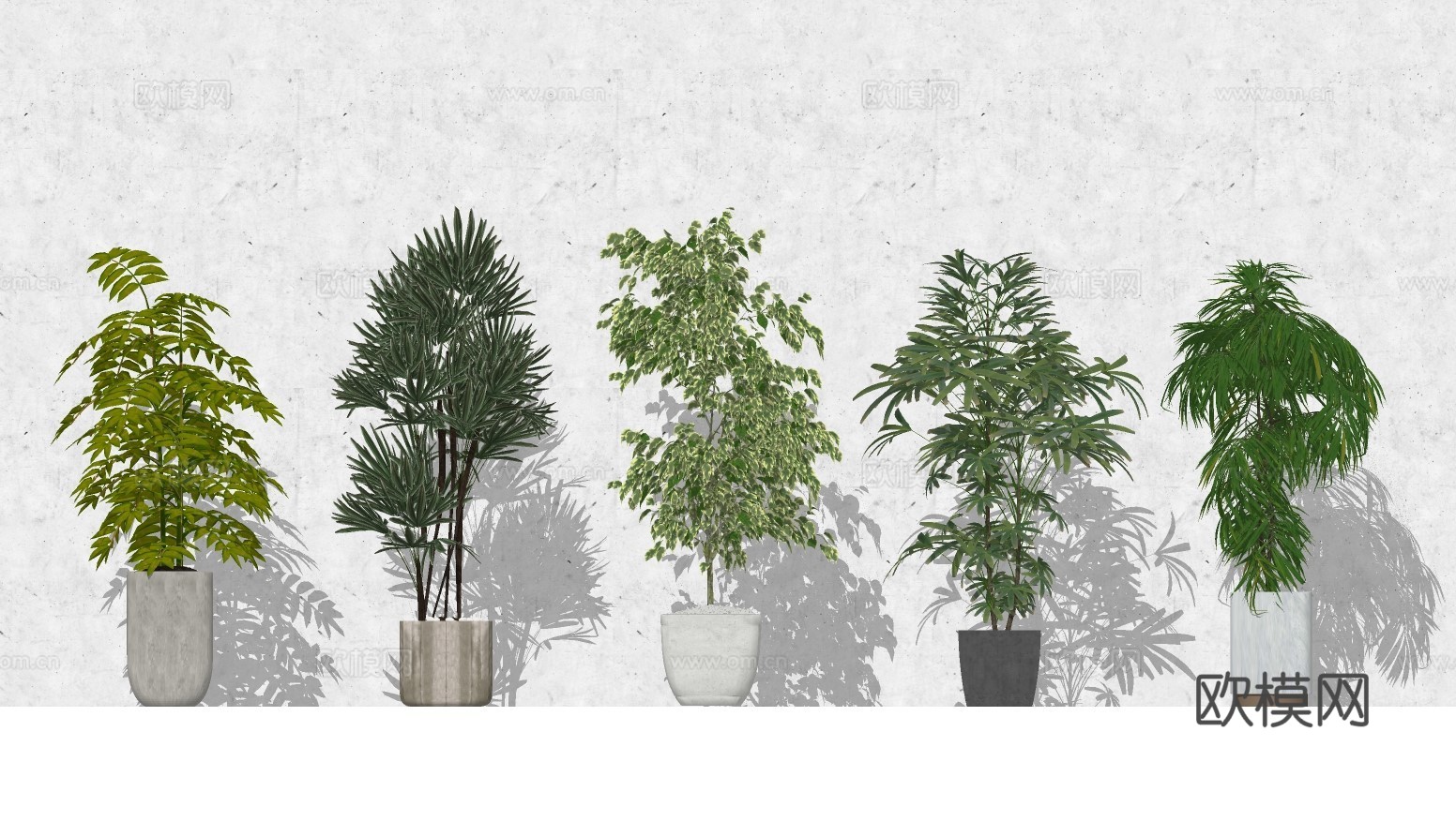 现代植物盆栽su模型下载