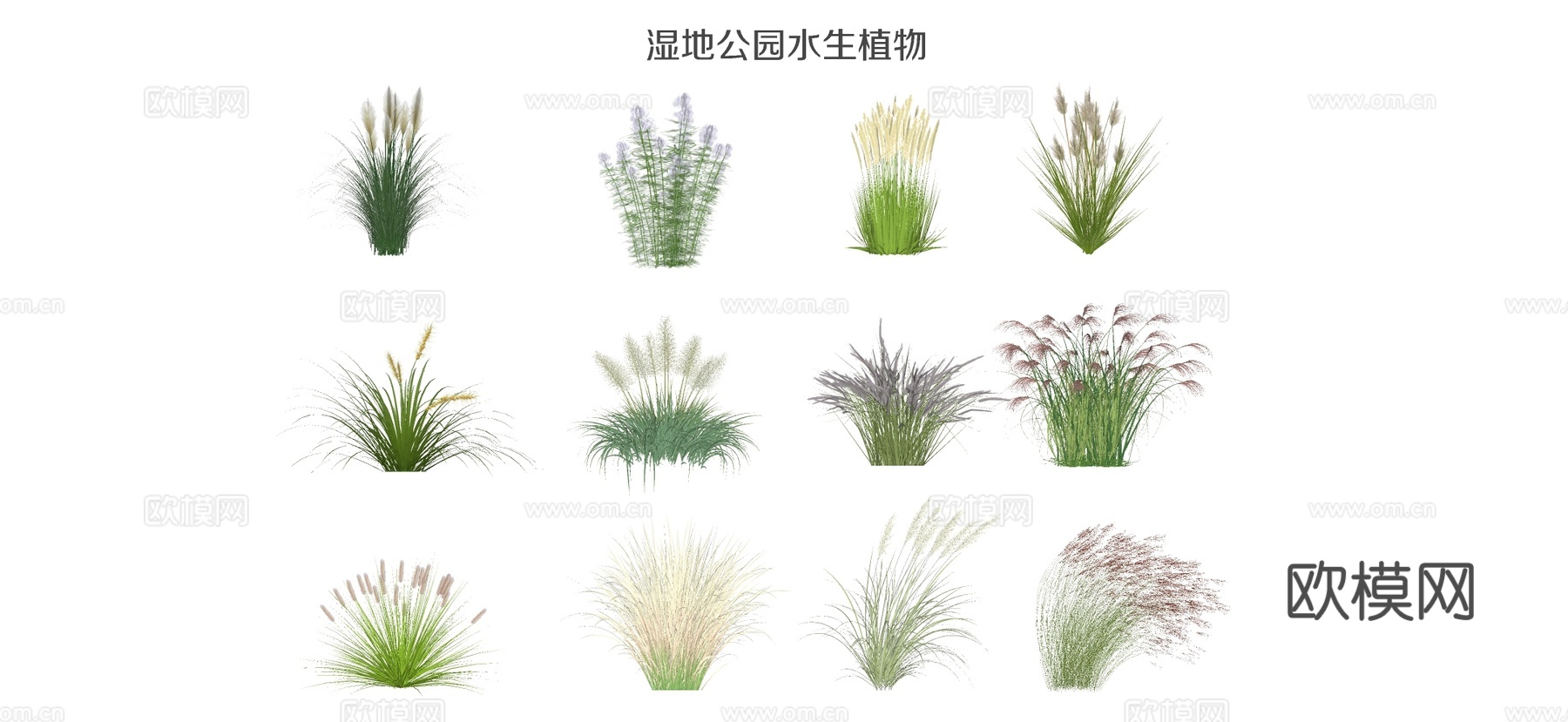 现代湿地公园水生植物 草花 芦苇 狗尾巴草su模型下载
