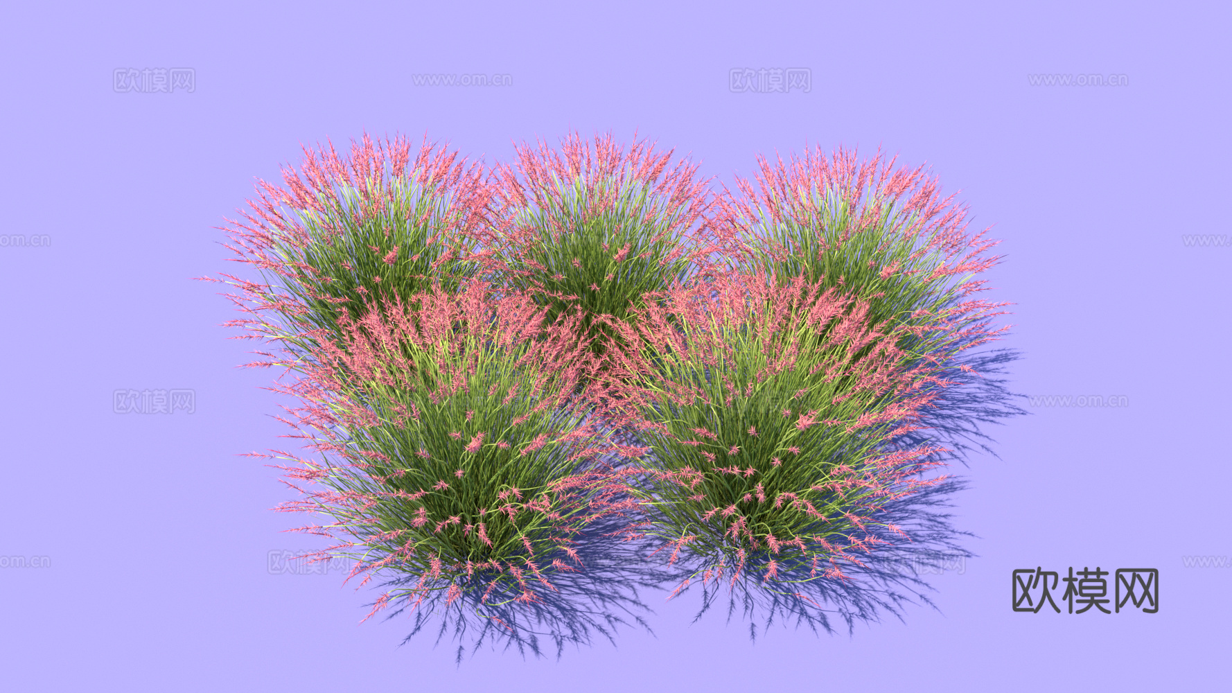 景观植物 花草 野草su模型下载