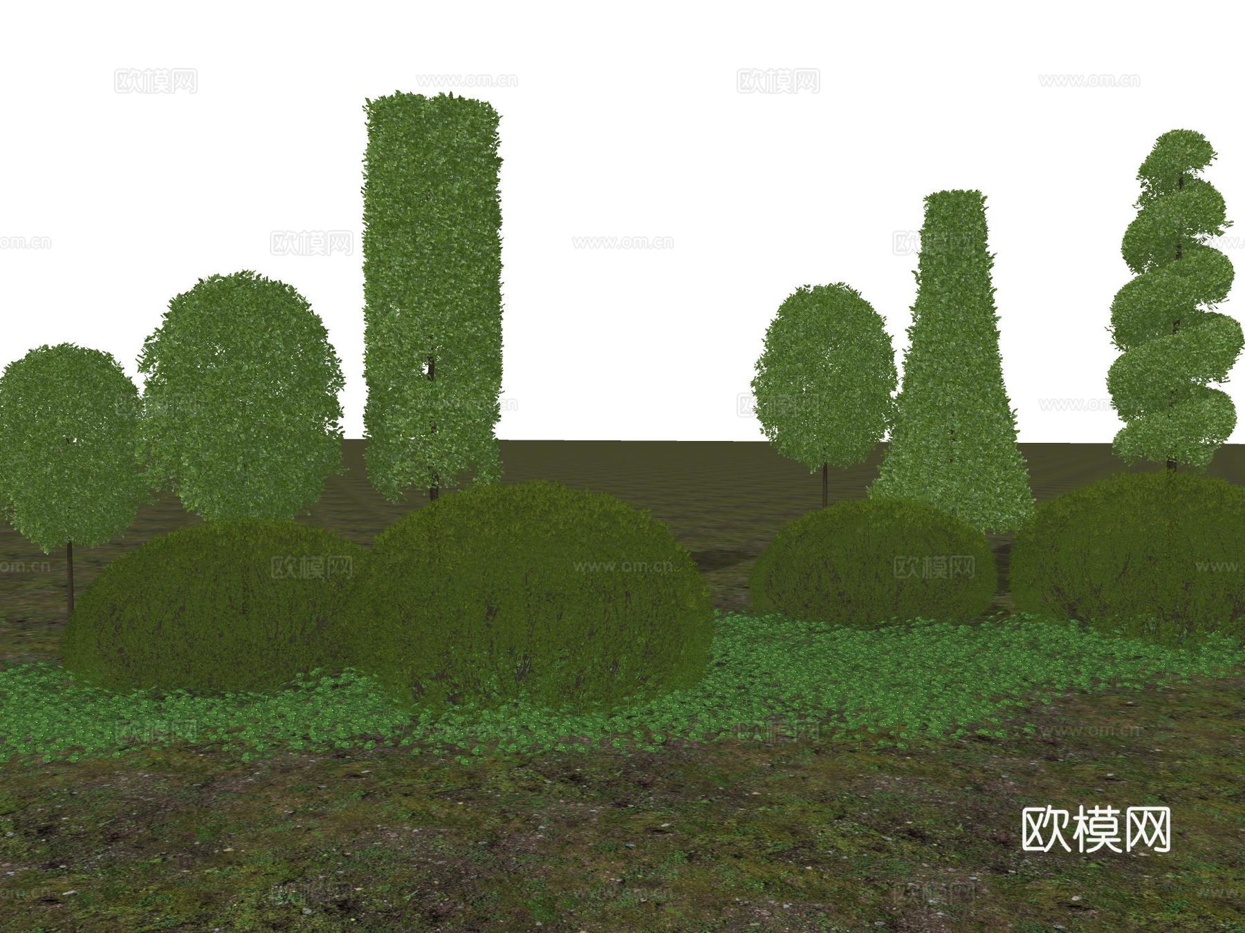 景观植物 灌木 造型植物 灌木球 黄杨球 造型树su模型下载