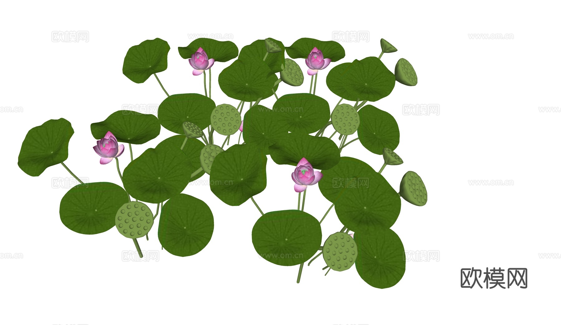 现代荷花su模型下载