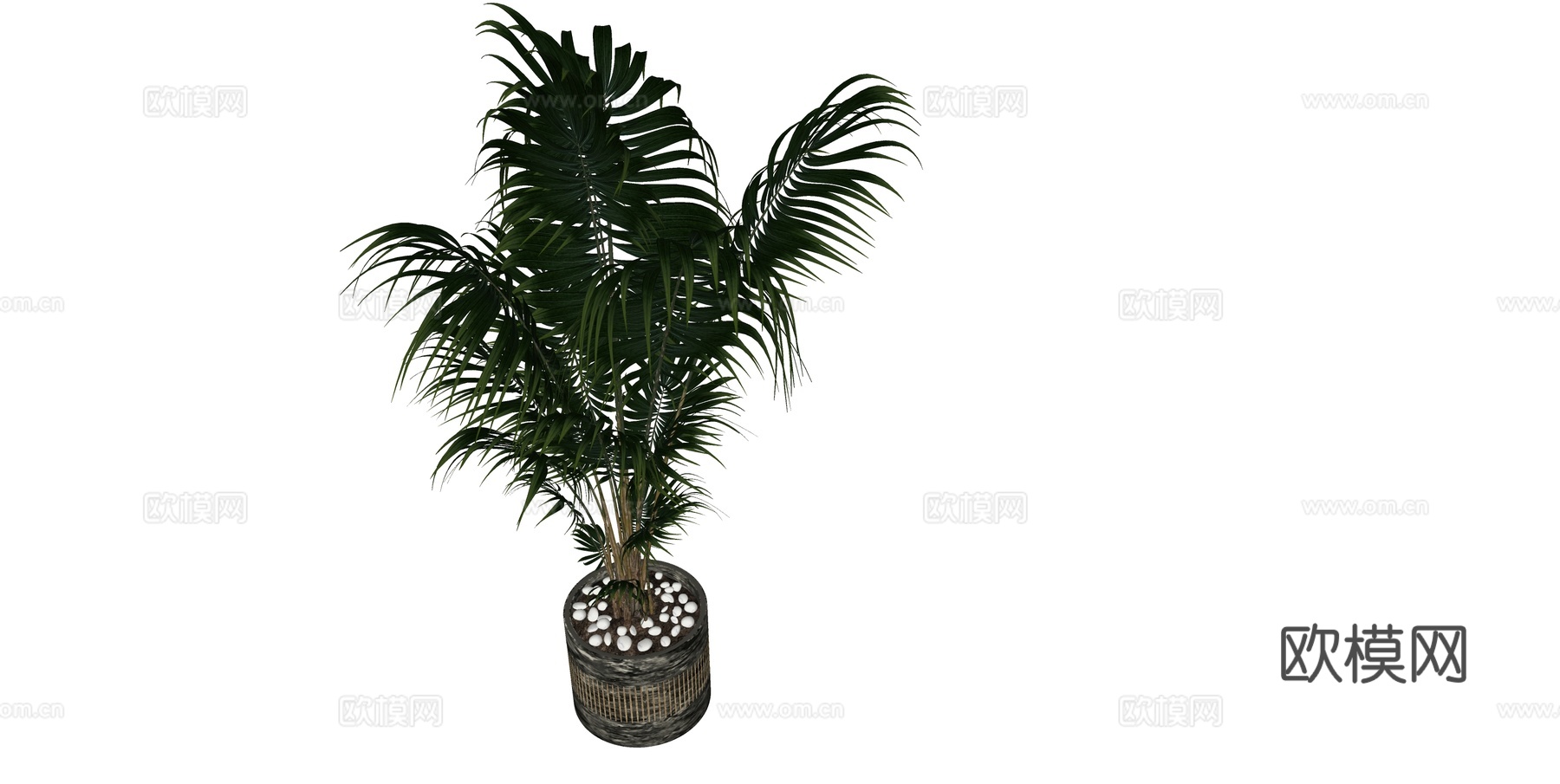 植物 盆栽 盆景 花卉su模型下载