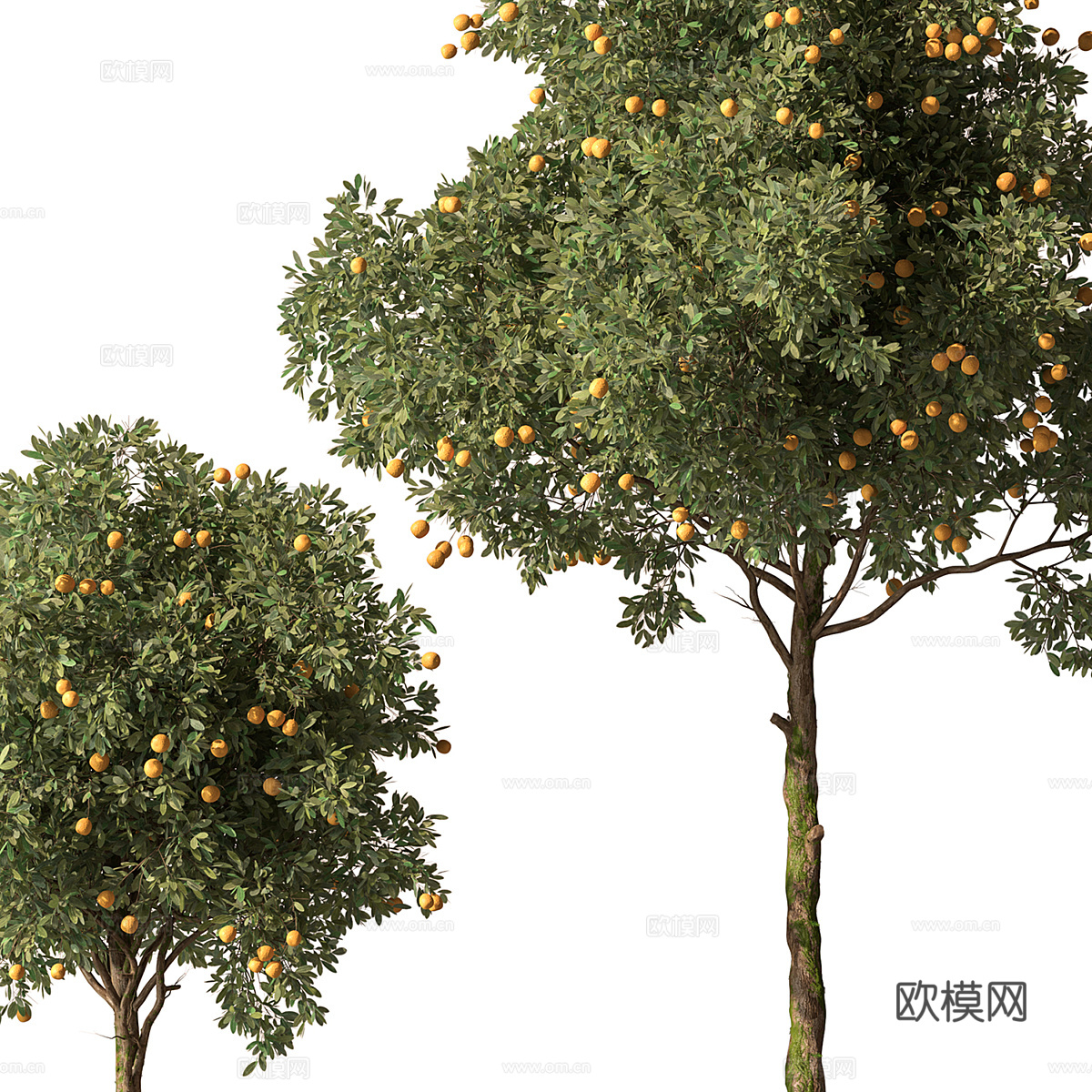 新中式绿植盆栽 果树3d模型
