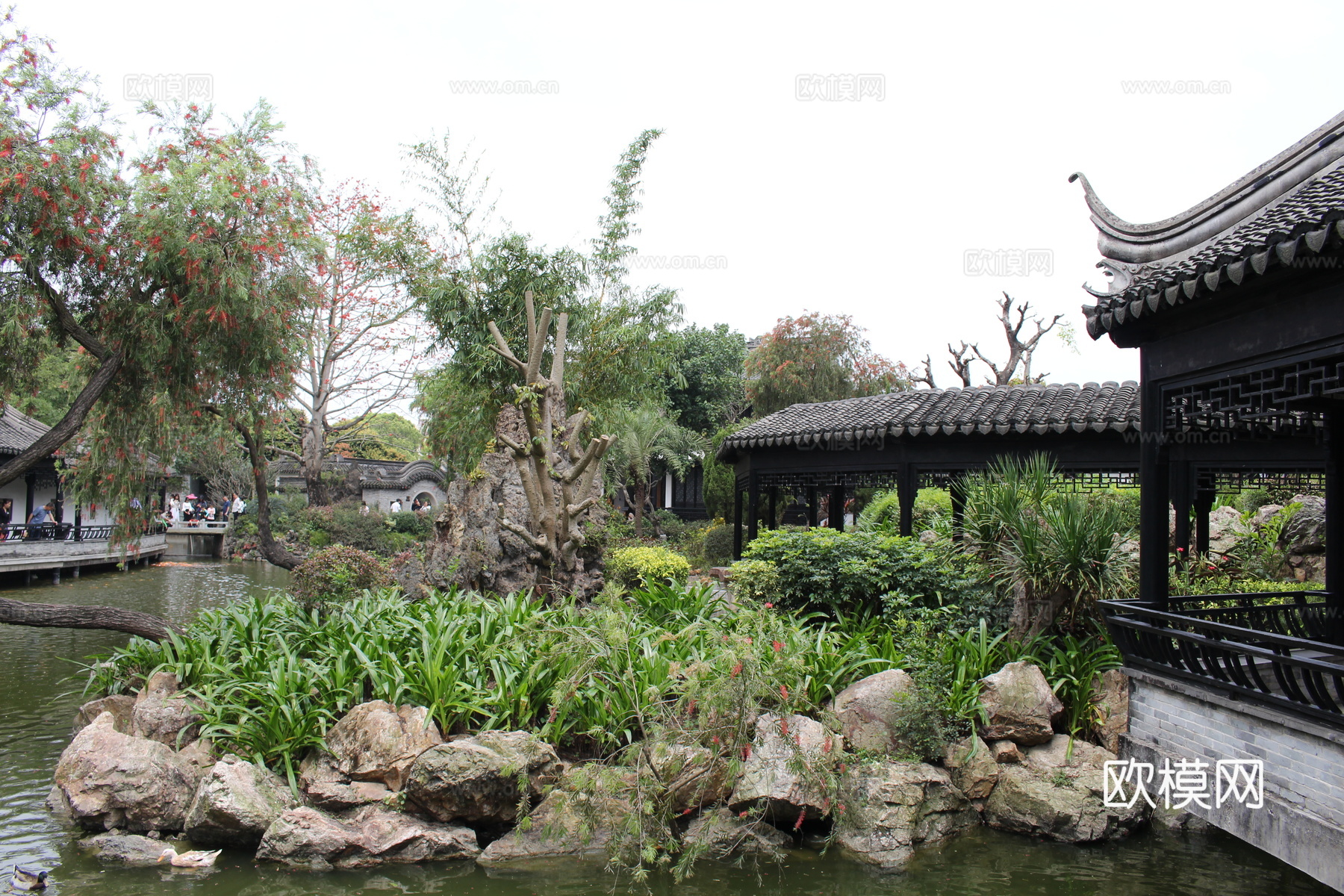 公园外景