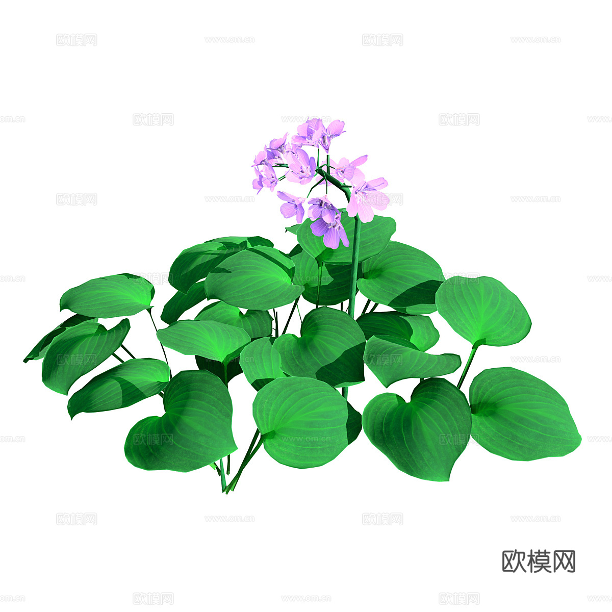 蓝鼠耳玉簪3d模型