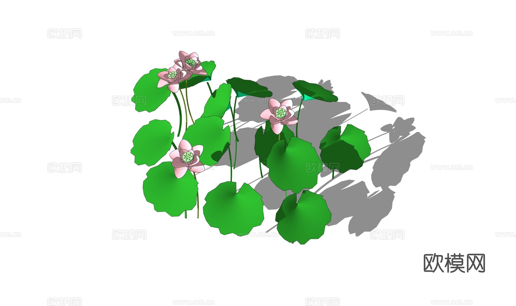 现代荷花su模型下载