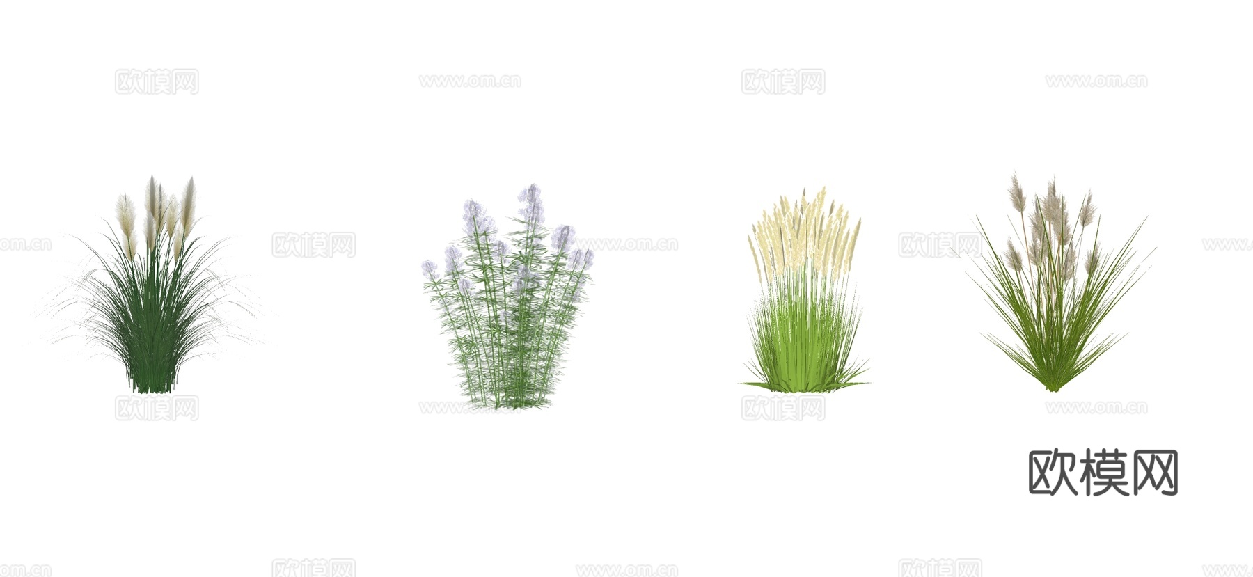 现代湿地公园水生植物 草花 芦苇 狗尾巴草su模型下载