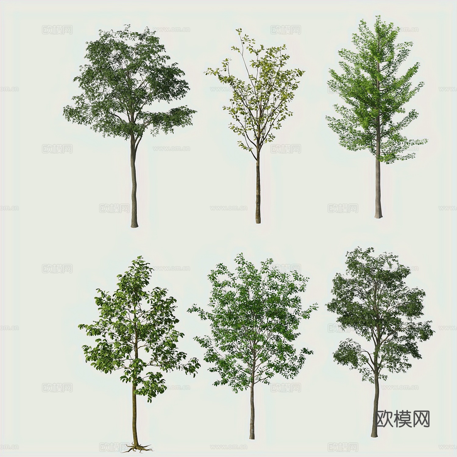 花草树木绿化景观3d模型