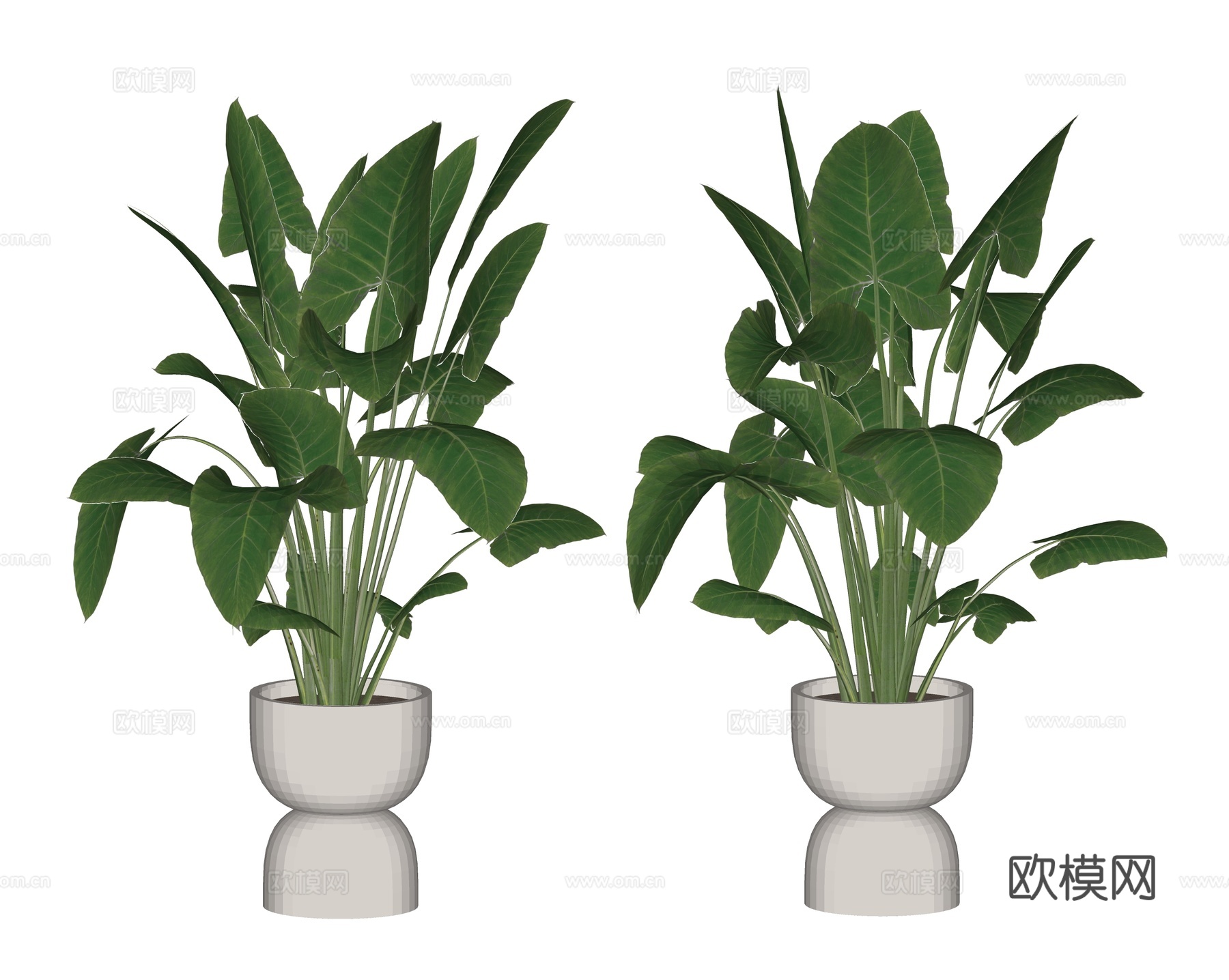 盆栽 盆景 绿植su模型下载