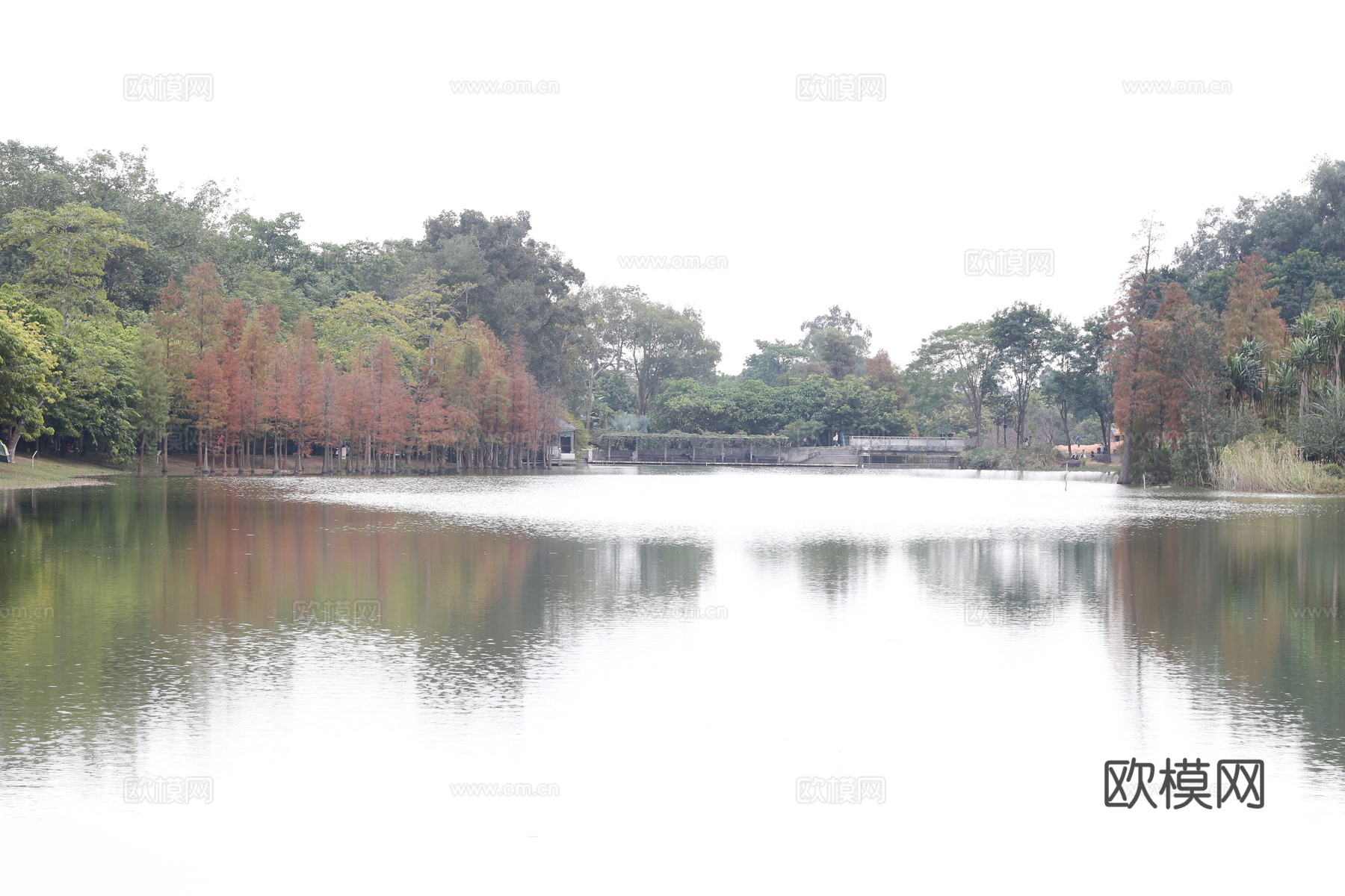 公园外景