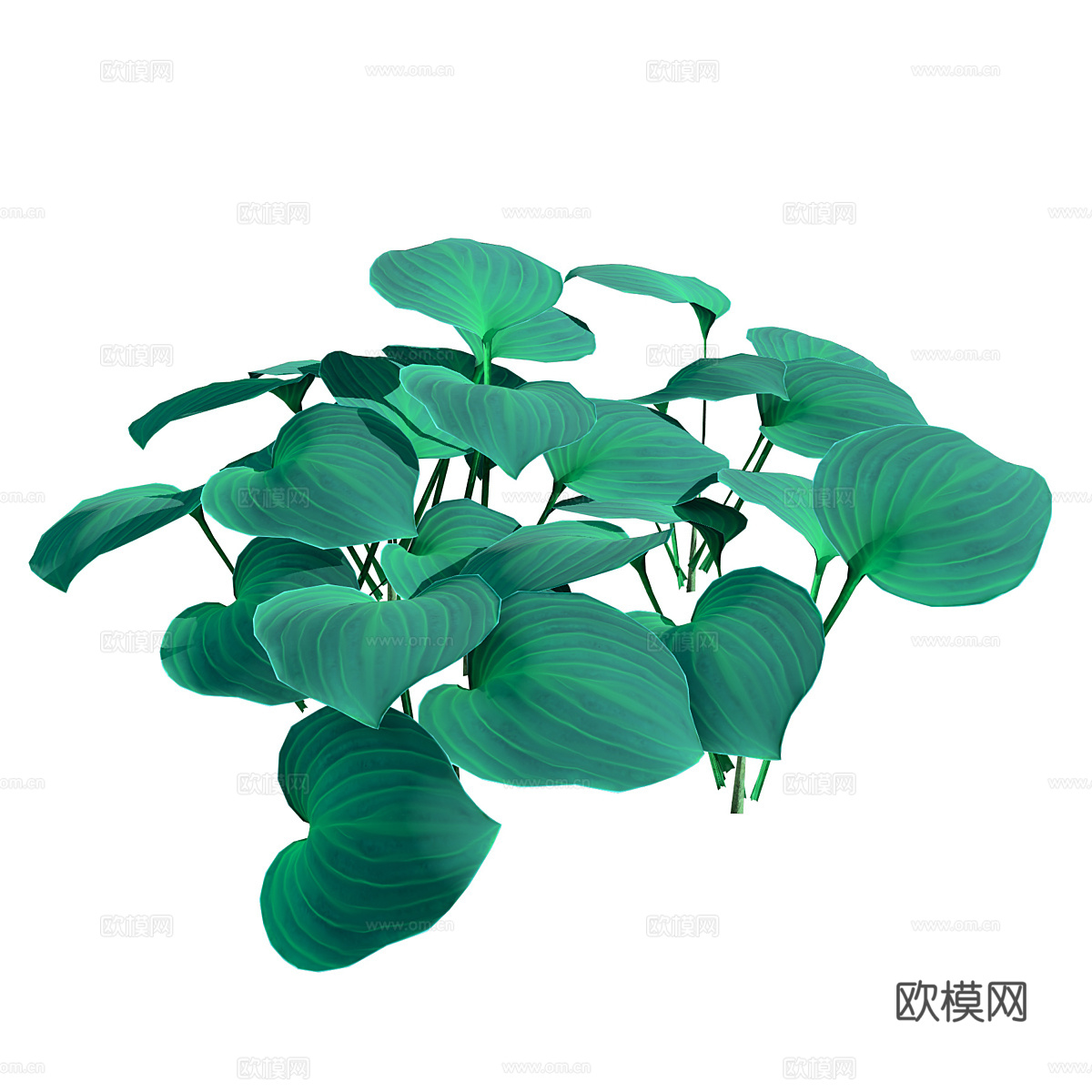蓝鼠耳玉簪3d模型