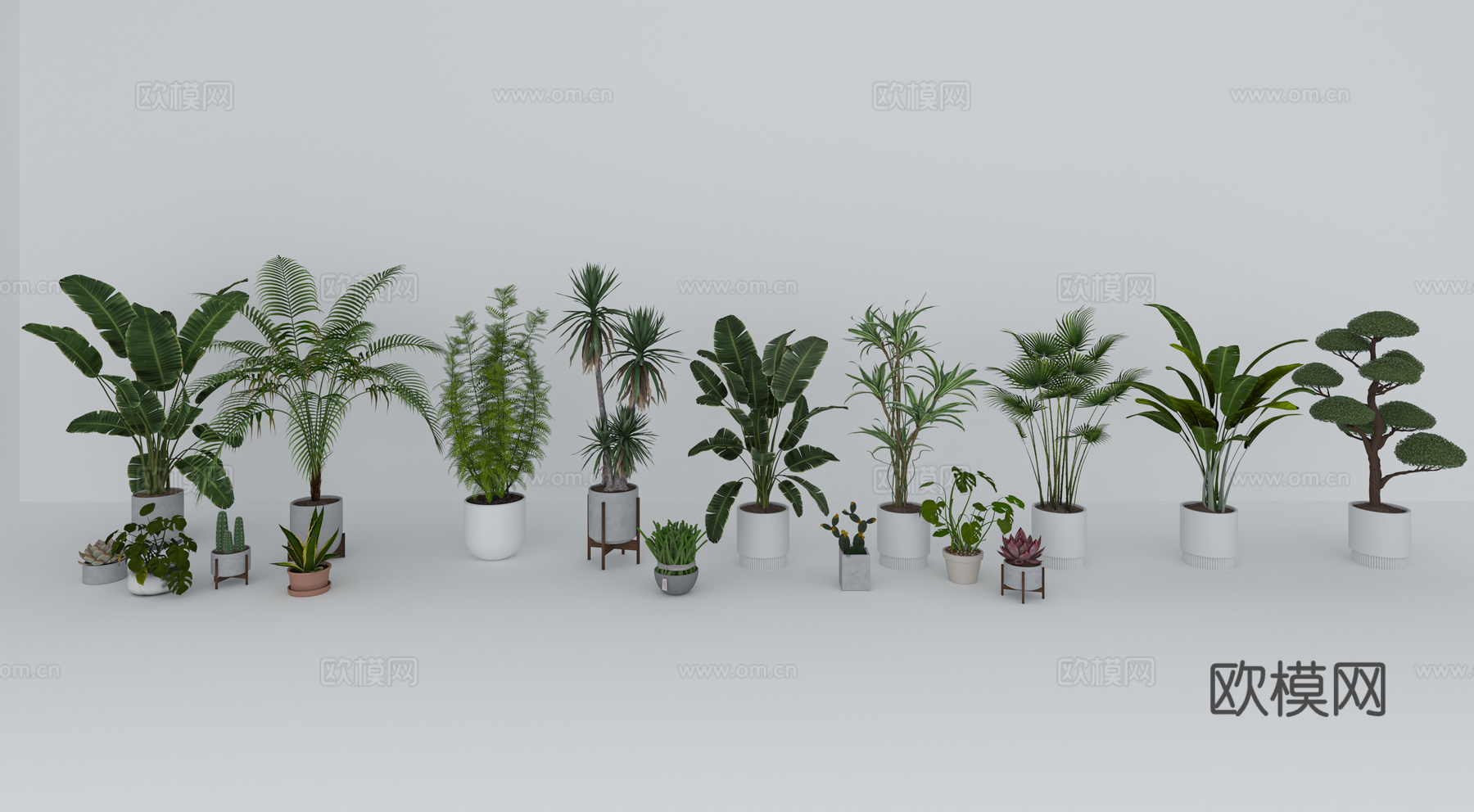 盆栽  花盆3d模型