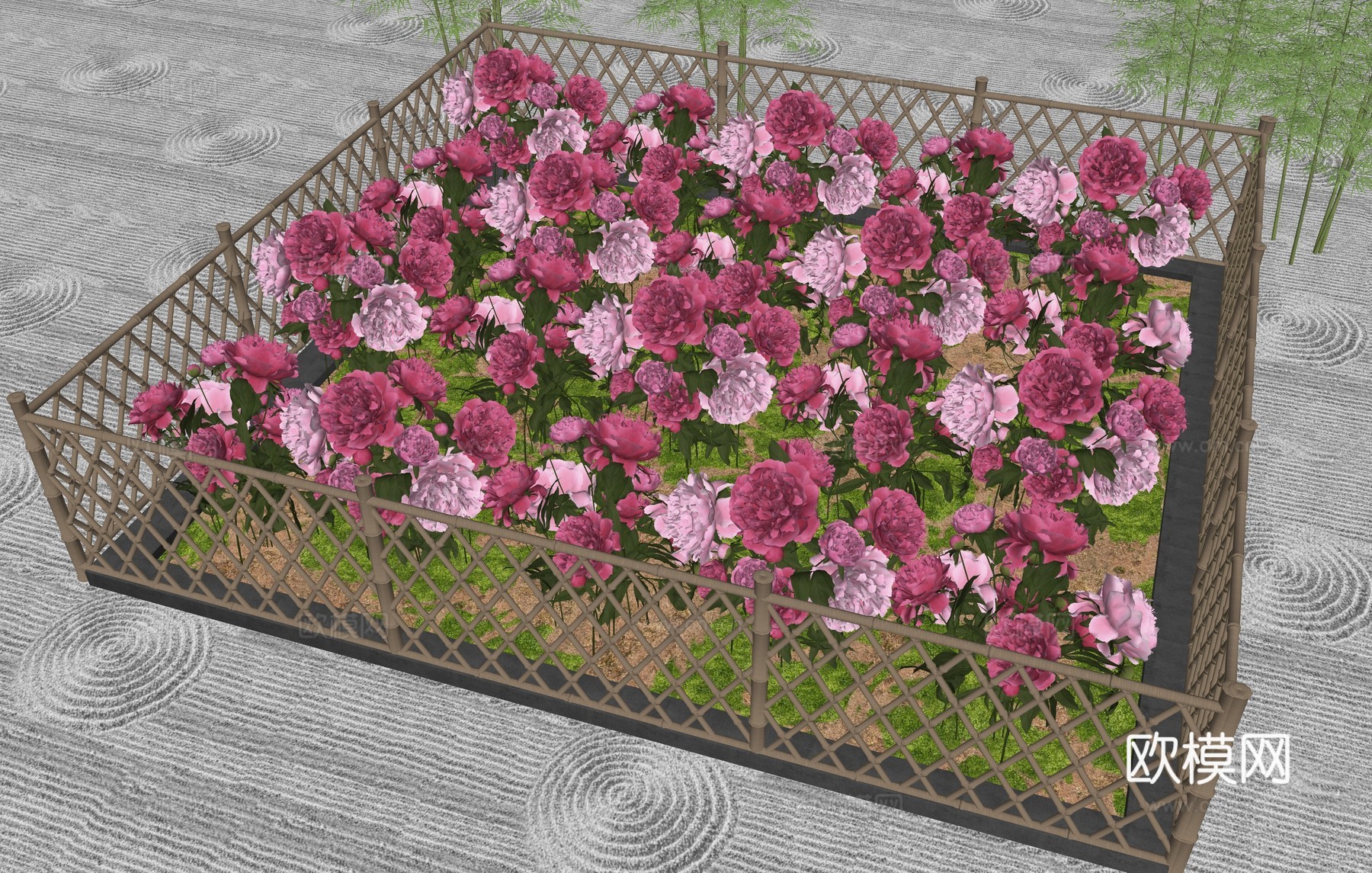 现代牡丹花田 牡丹种植 芍药花 竹篱笆 花田种植su模型