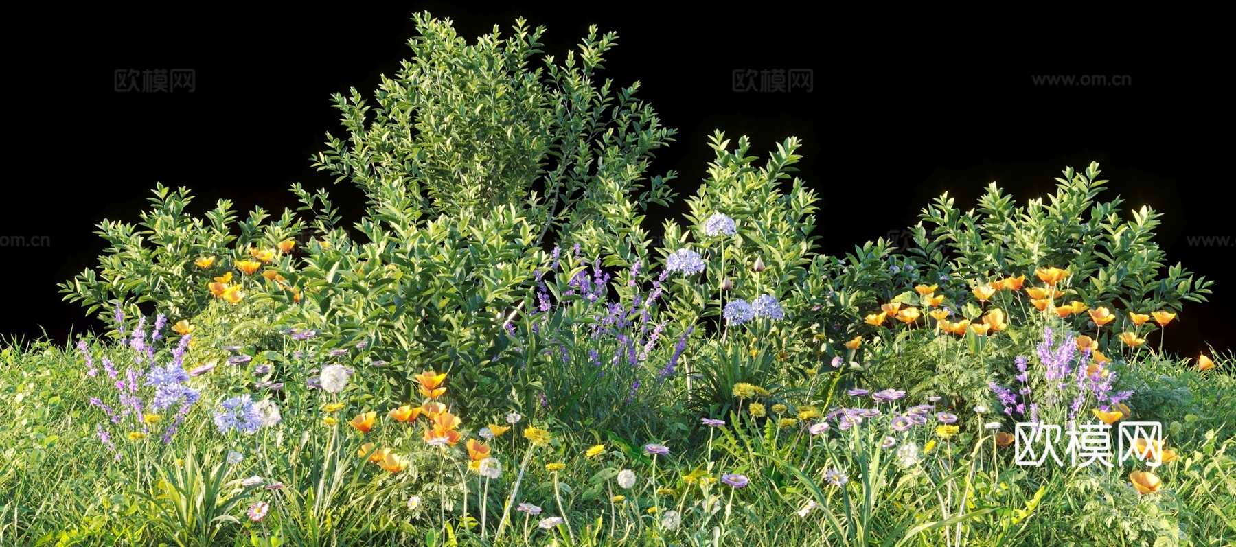 景观灌木 灌木丛 植物组合 花草3d模型