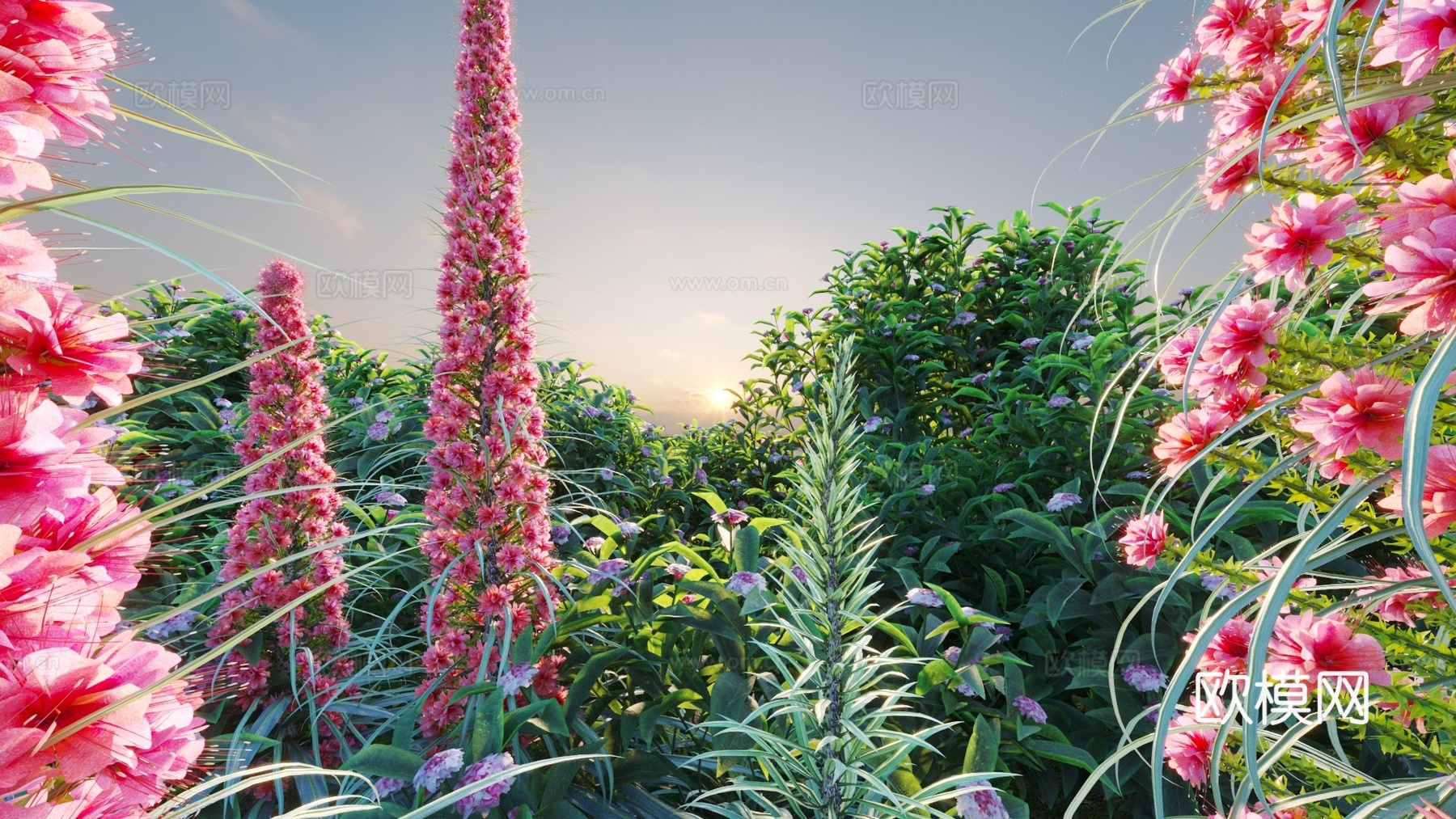 景观灌木 灌木丛 植物组合 花草3d模型