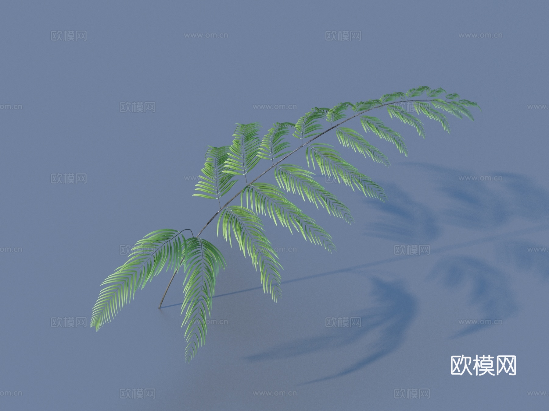 树叶 叶子 绿叶3d模型