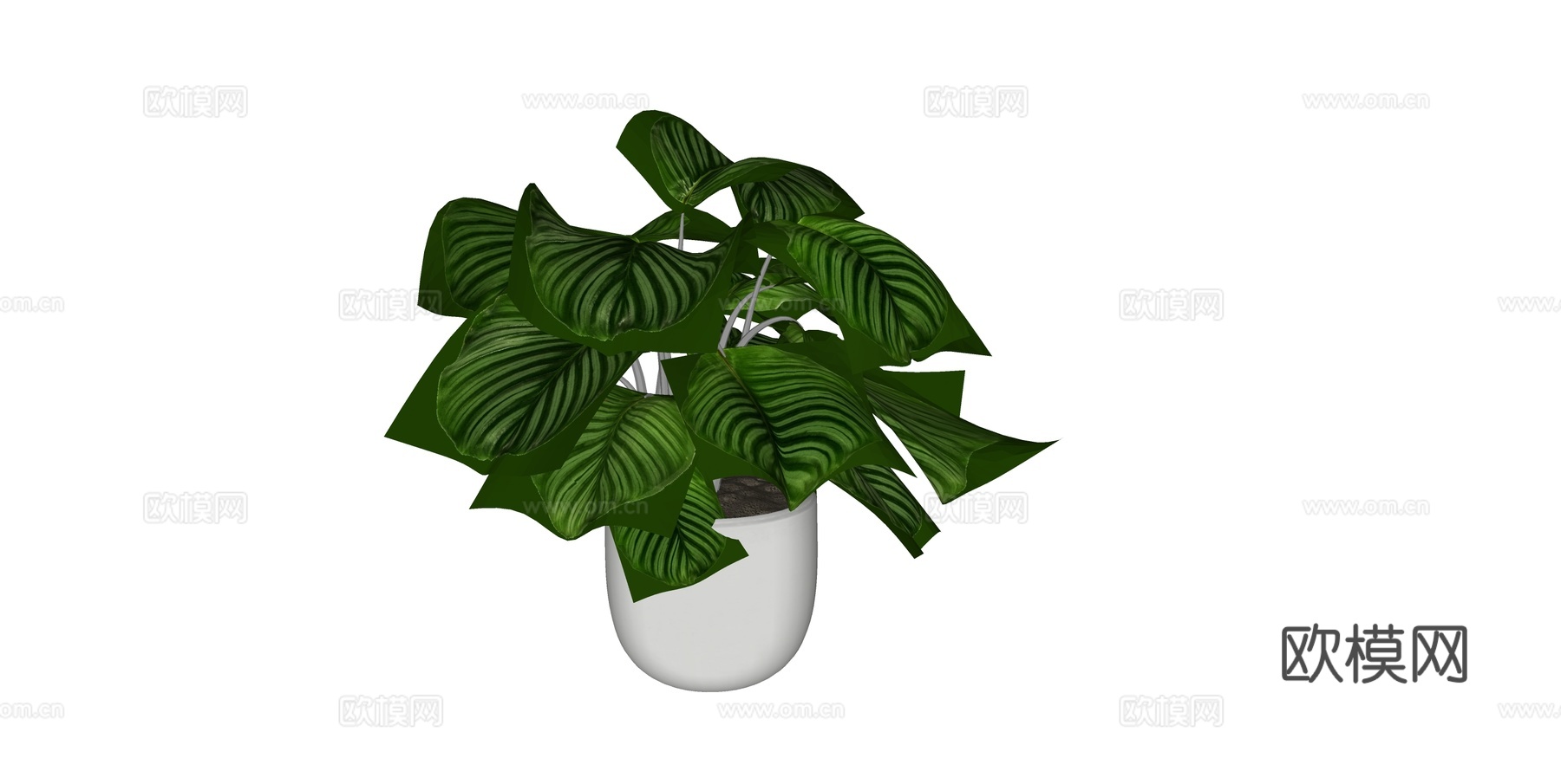 植物 盆栽 盆景 花卉su模型下载