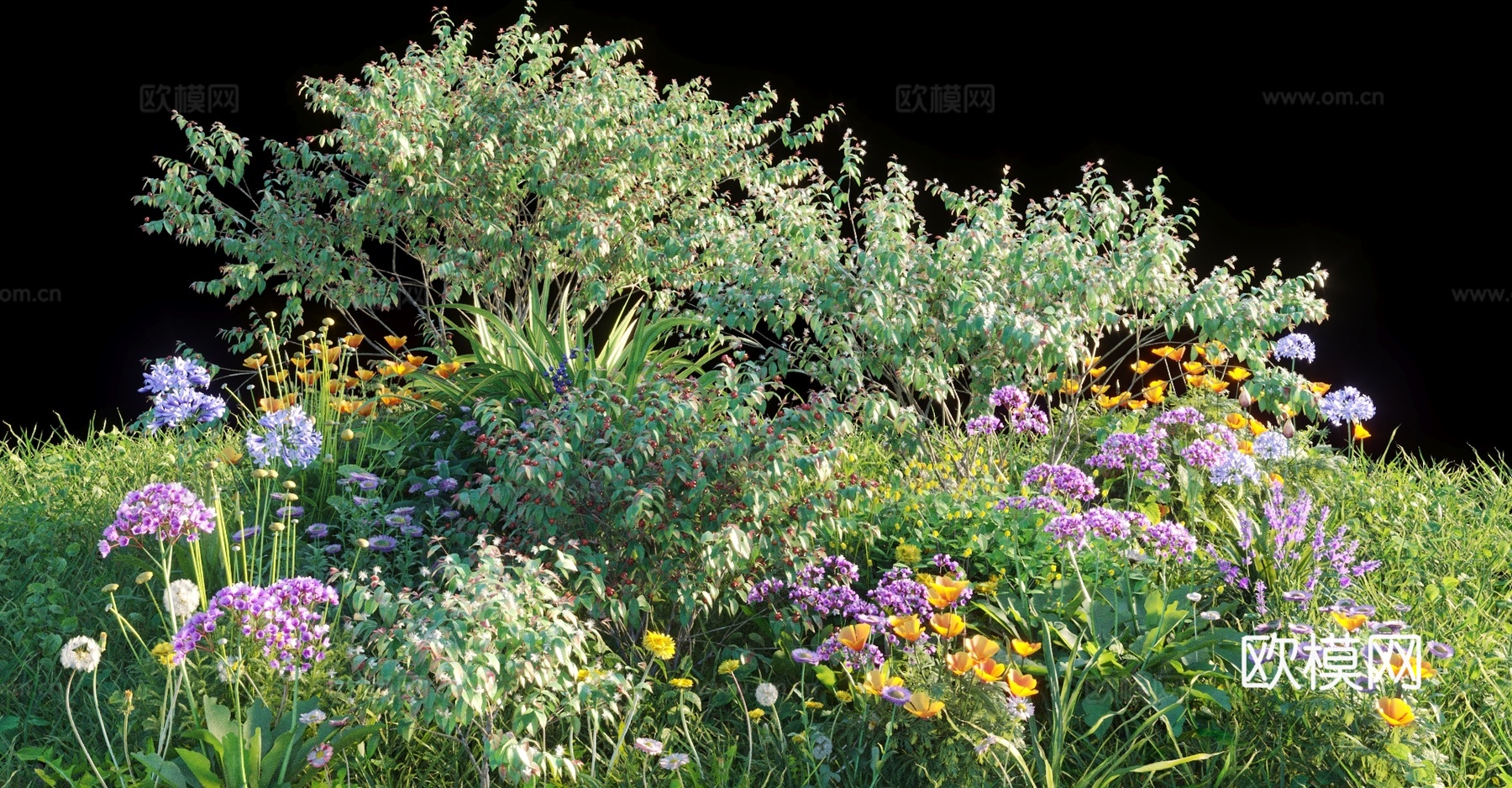 景观灌木 灌木丛 植物组合 花草3d模型