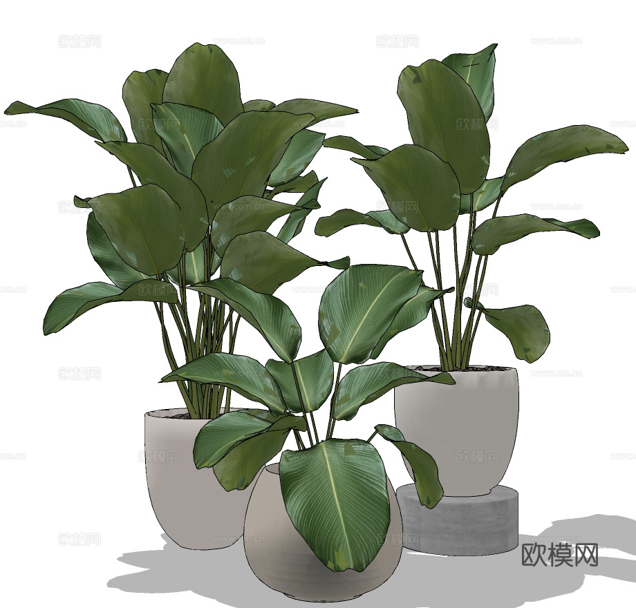现代绿植盆栽su模型下载