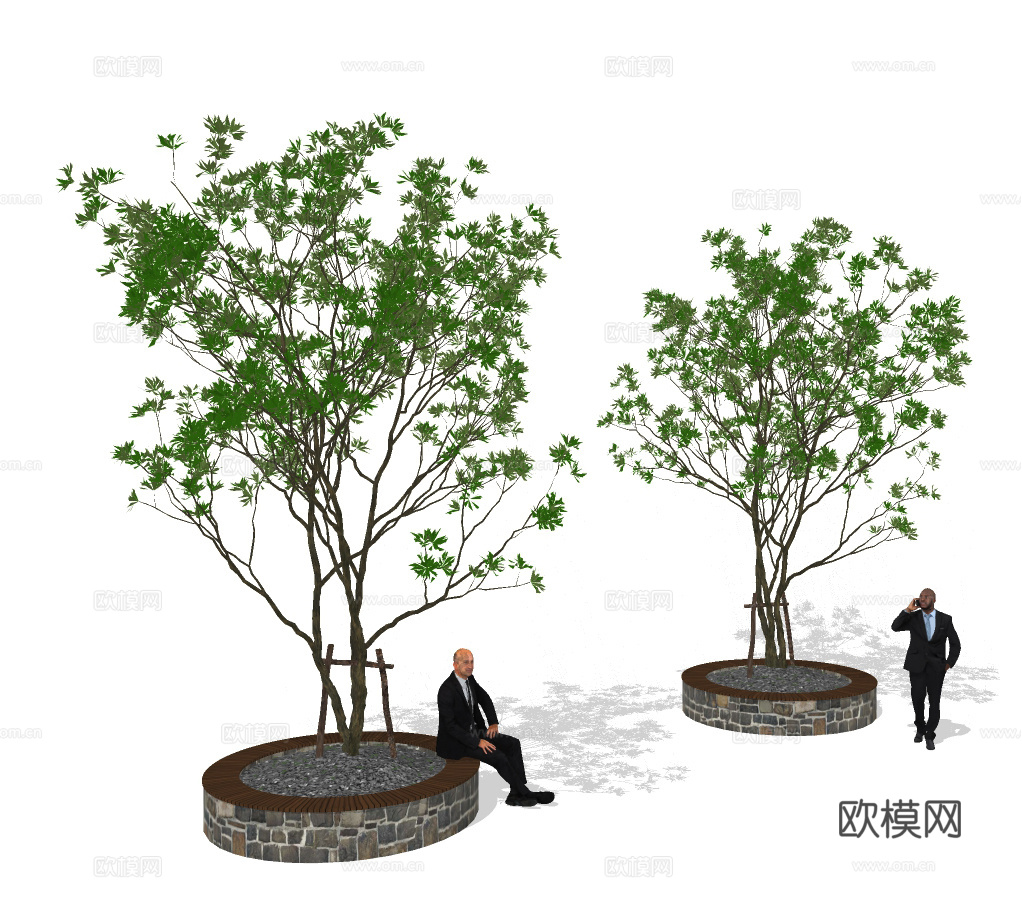 现代行道树景观树su模型下载
