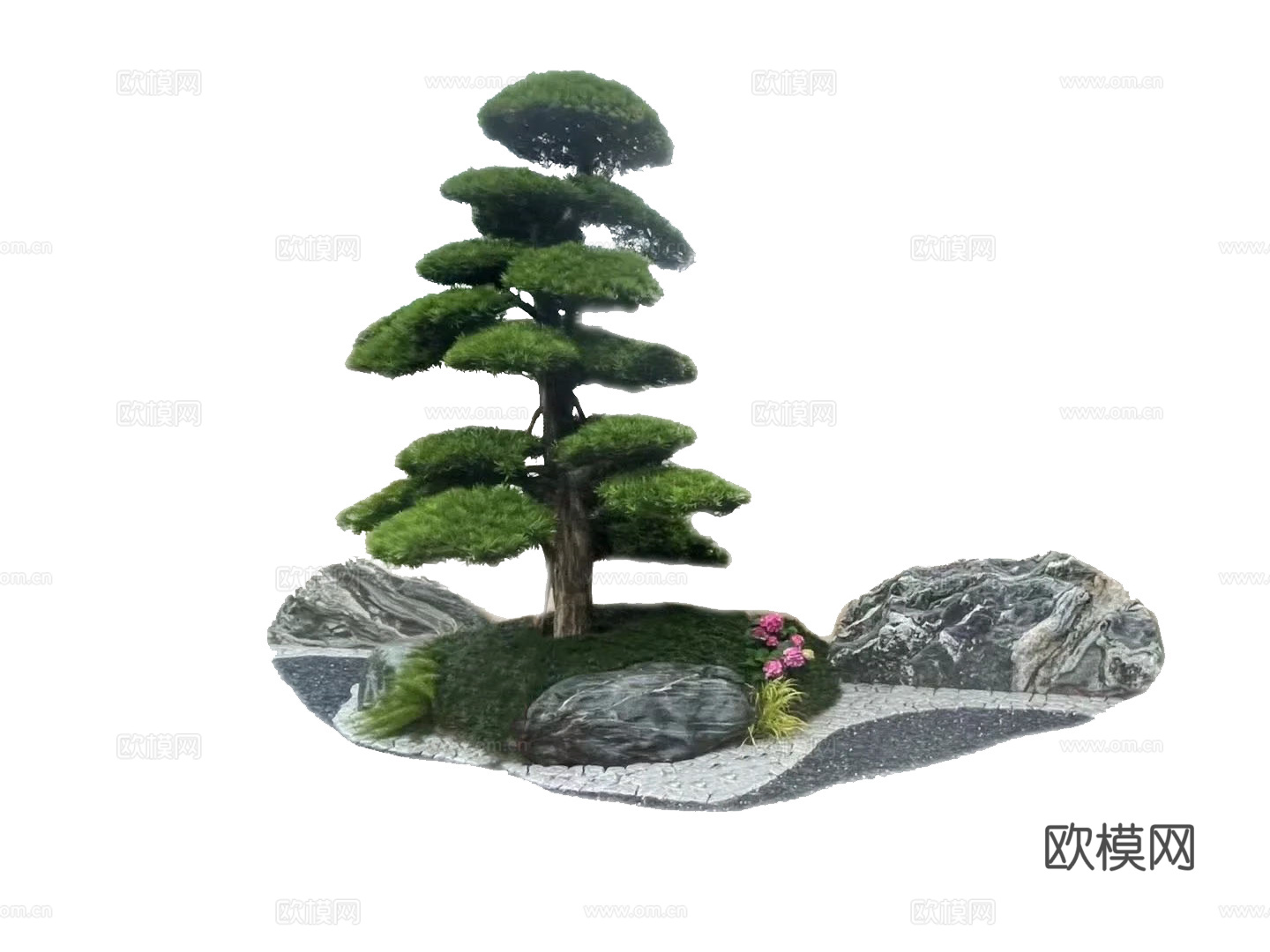 罗汉松景观