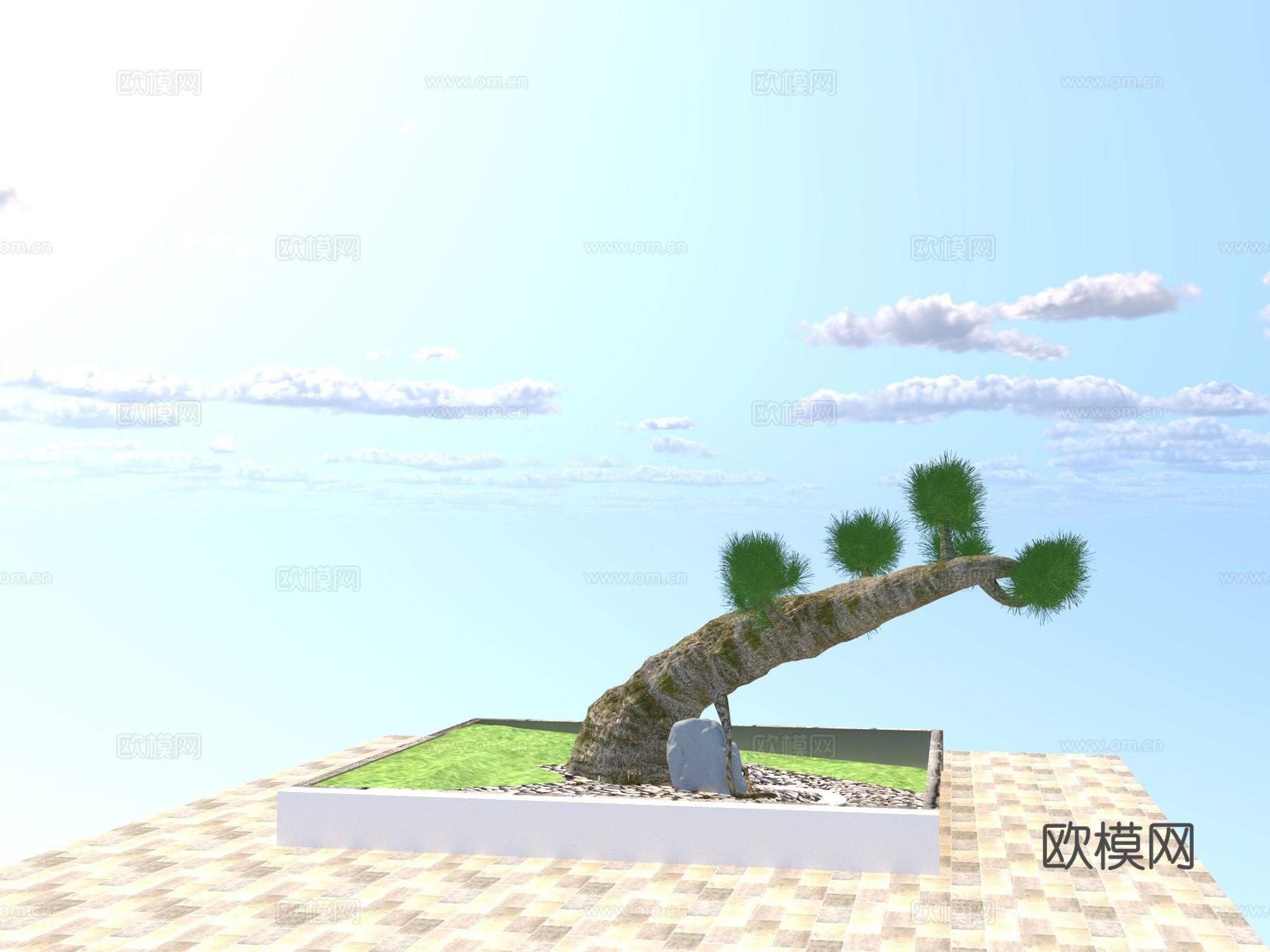 景观松免费su模型