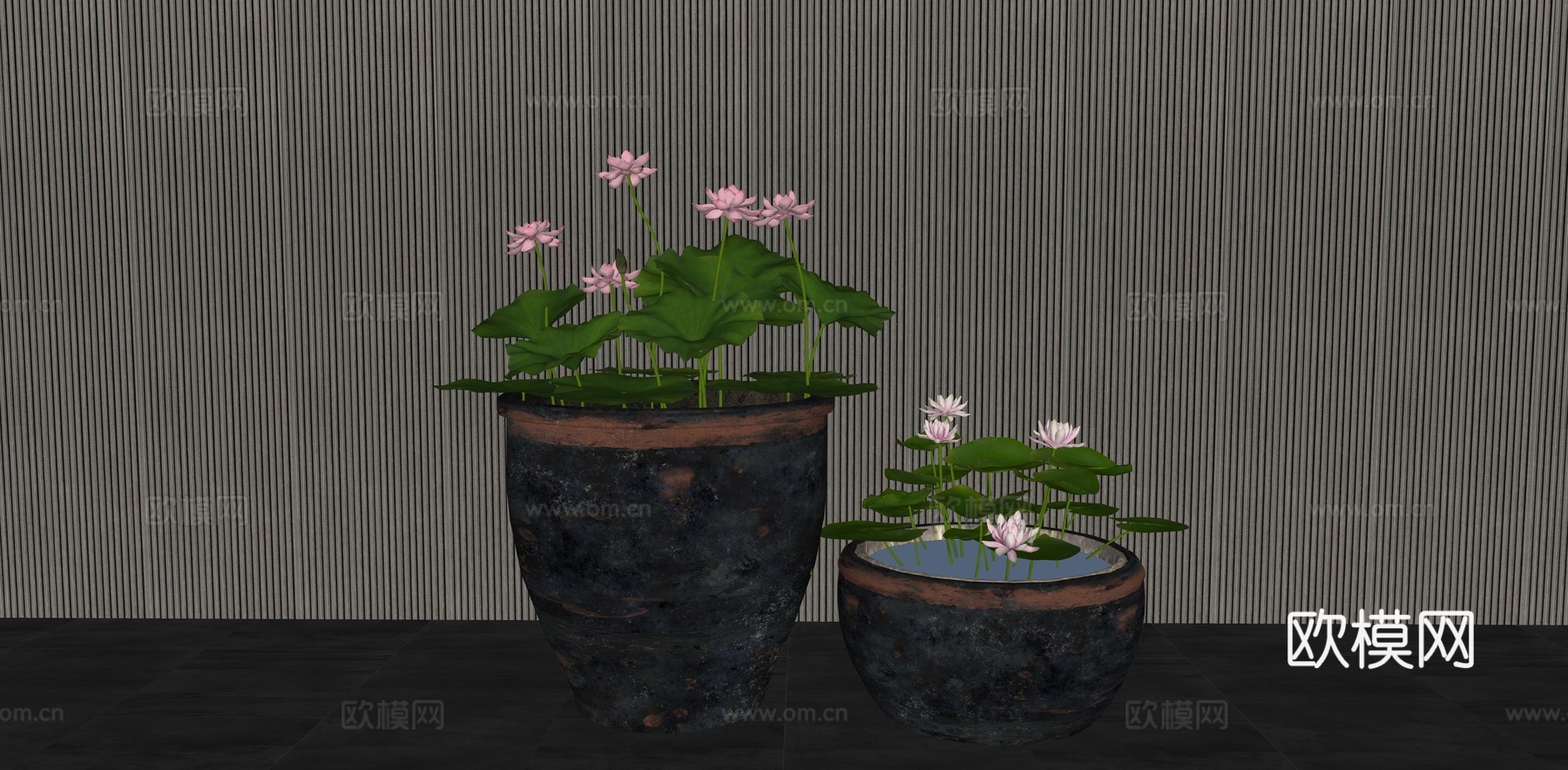新中式水缸 荷花缸 养鱼荷花水景 微景观 水生植物 室内荷花su模型