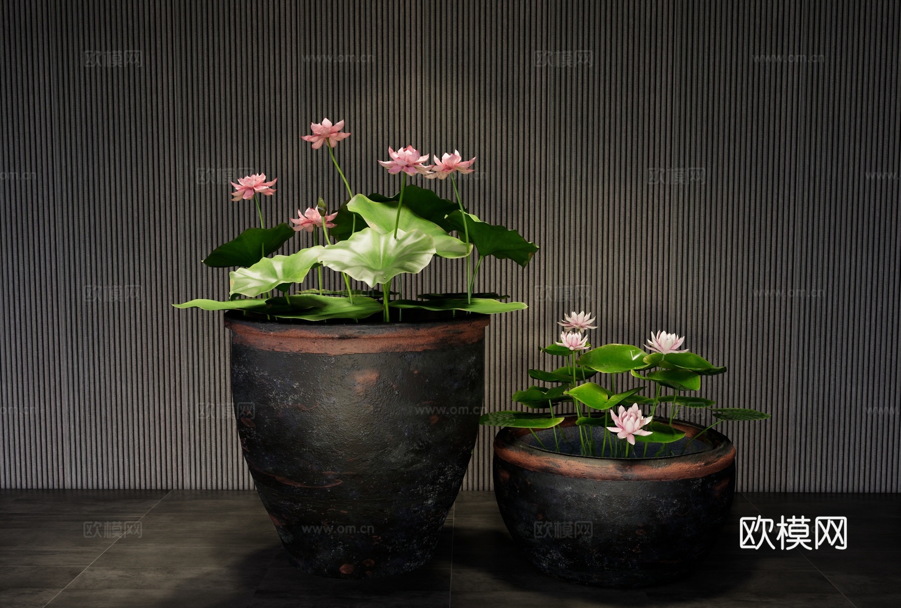 新中式水缸 荷花缸 养鱼荷花水景 微景观 水生植物 室内荷花su模型