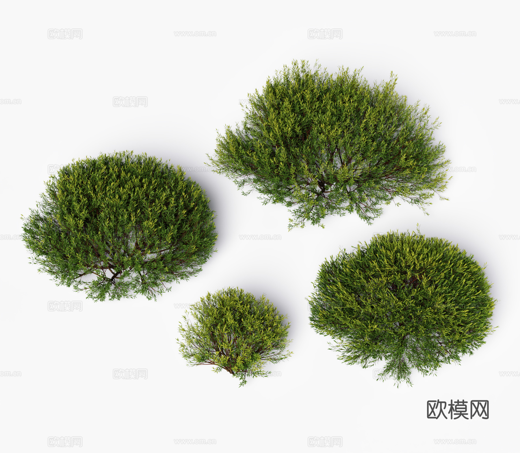 现代灌木 植物堆3d模型