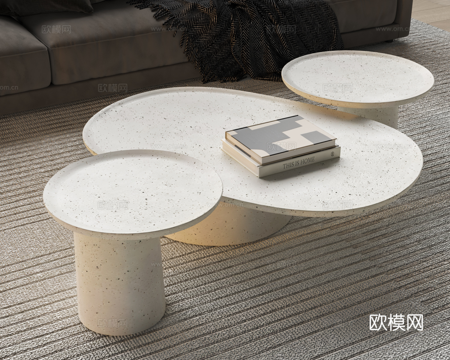 Molteni&amp;C组合茶几 圆形茶几3d模型