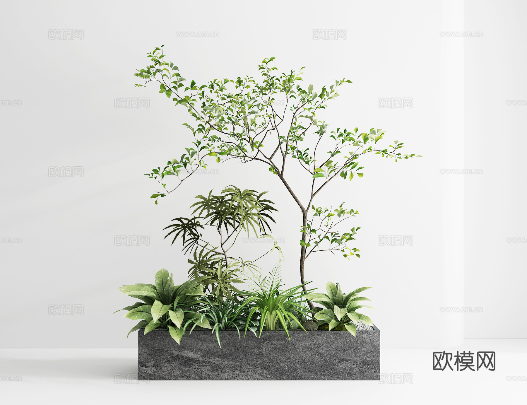 盆景植物箱大型景观摆件3d模型
