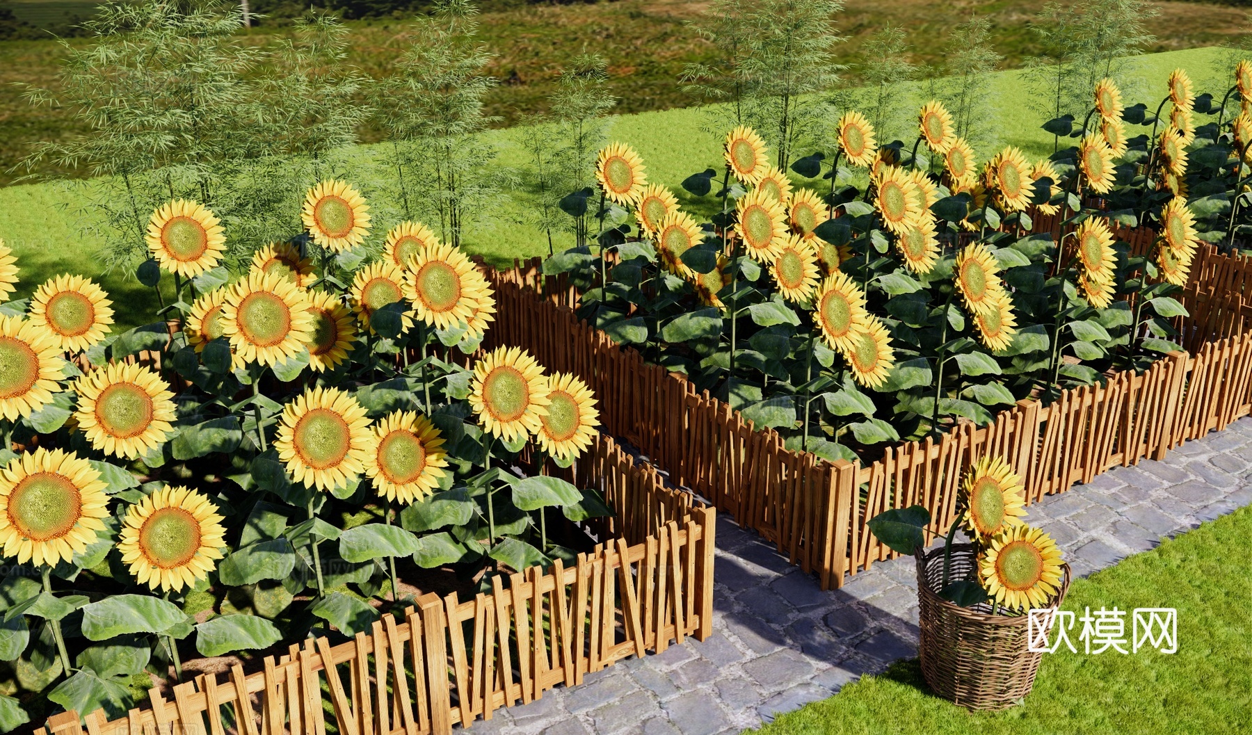 现代向日葵花田公园 向日葵种植 太阳花 竹篱笆 花田种植免费su模型
