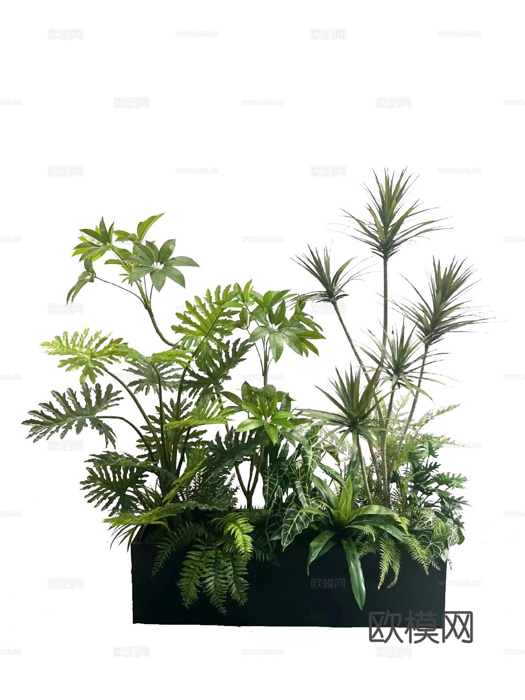 花箱花镜