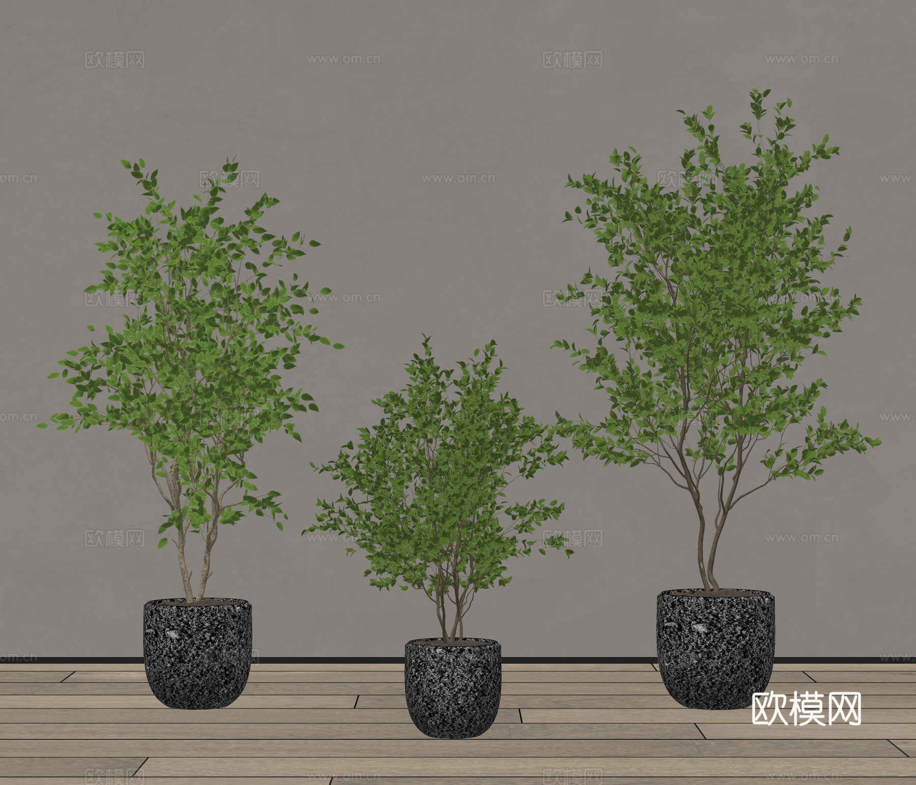 植物盆栽 绿植盆栽su模型