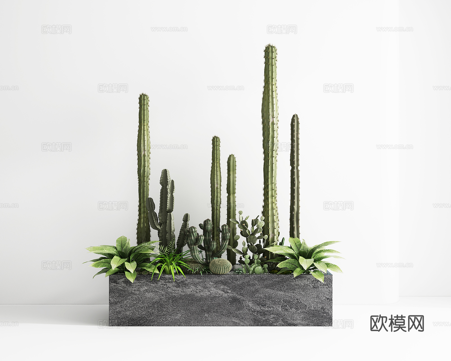仙人掌植物箱大型景观摆件3d模型