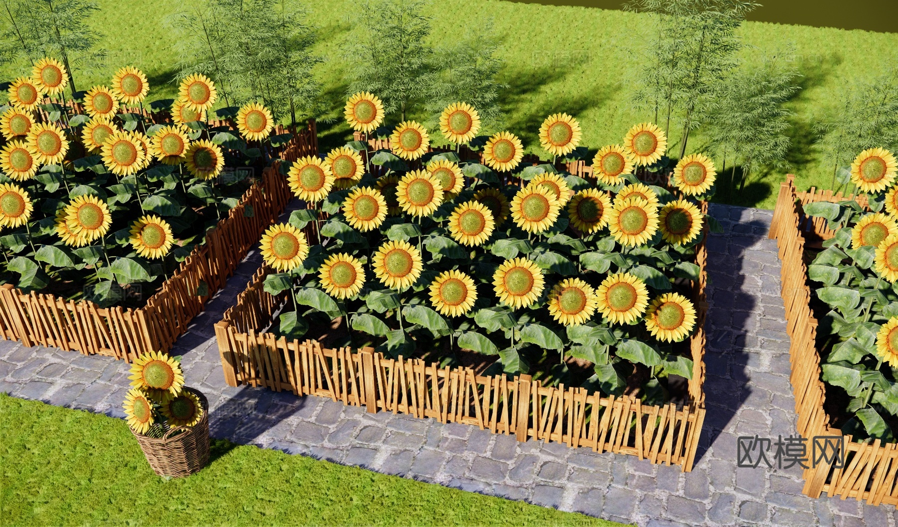 现代向日葵花田公园 向日葵种植 太阳花 竹篱笆 花田种植免费su模型