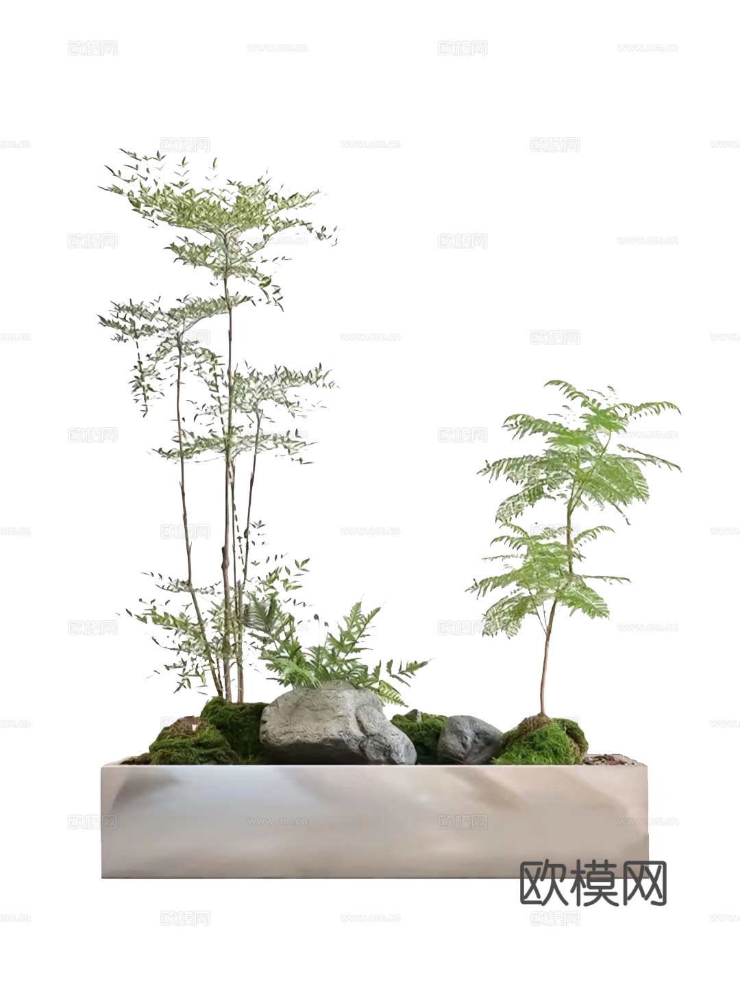 花箱花镜