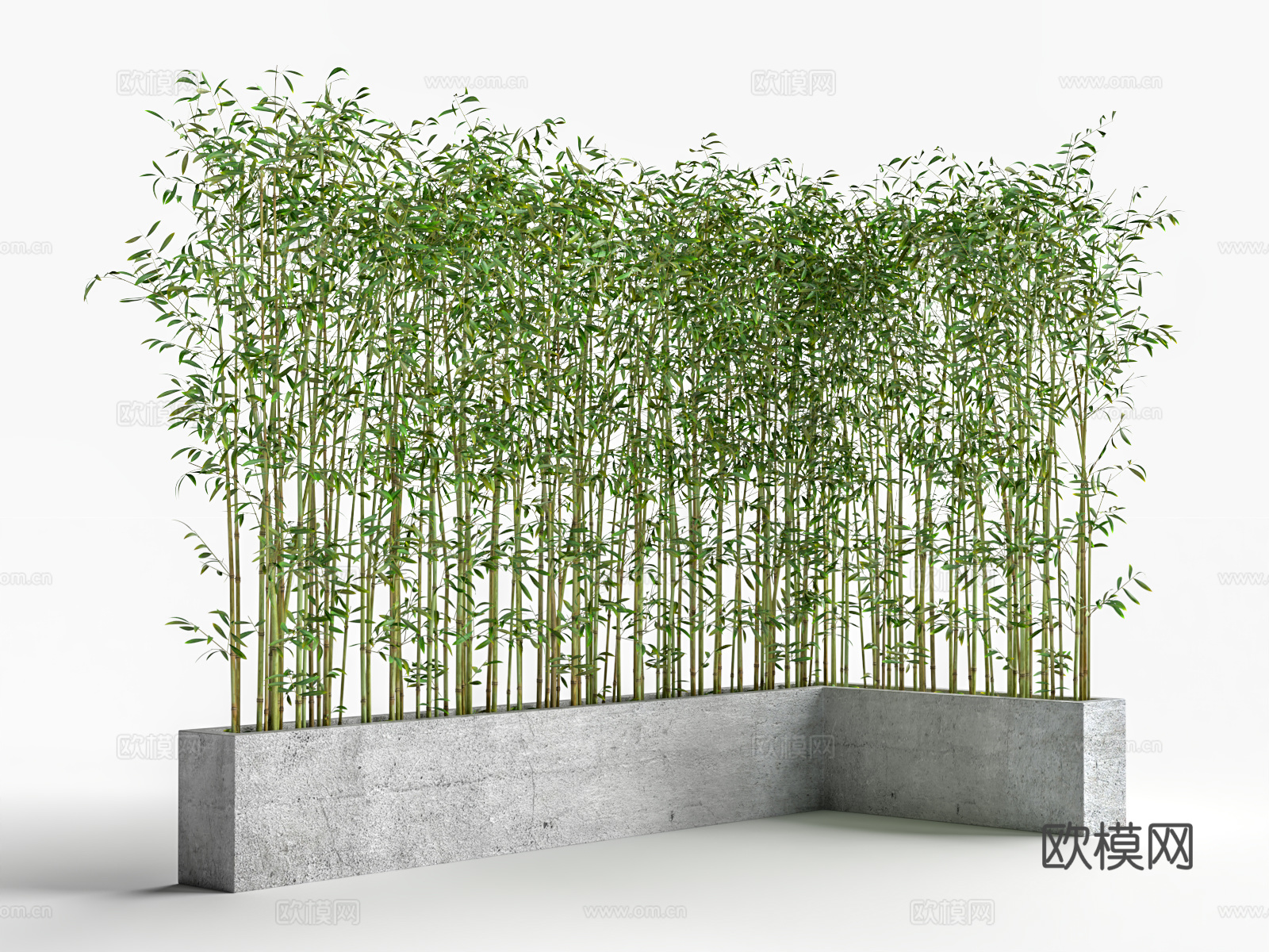 竹子 竹子花坛 庭院竹子 景观竹3d模型