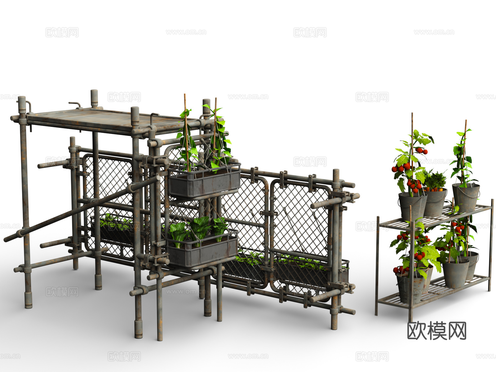 盆栽绿植 植物盆栽  废土风格 蔬菜水果  未来末日风格 种3d模型