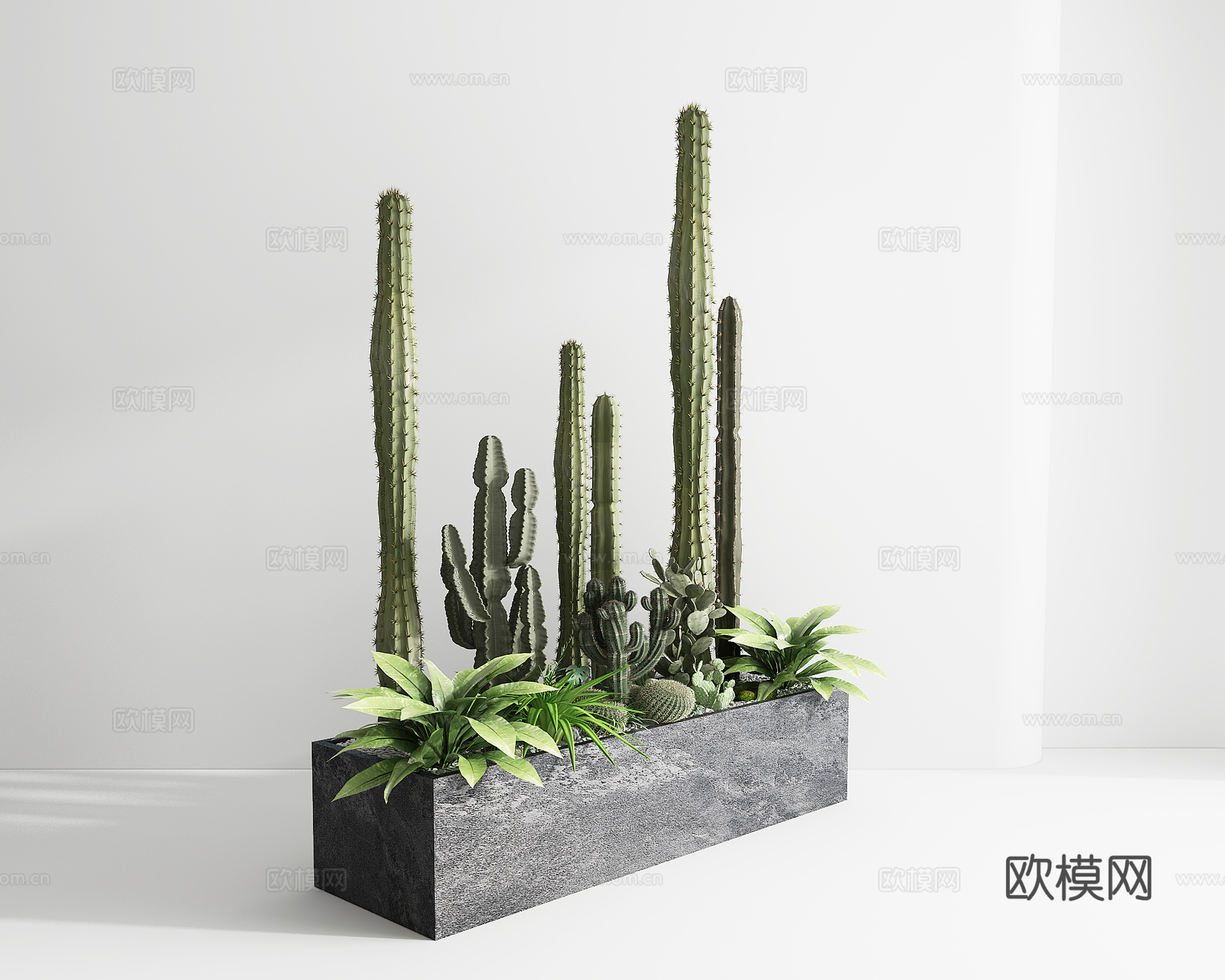 仙人掌植物箱大型景观摆件3d模型