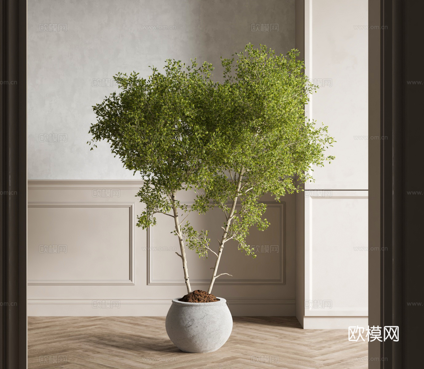 侘寂植物盆栽 绿植盆栽3d模型
