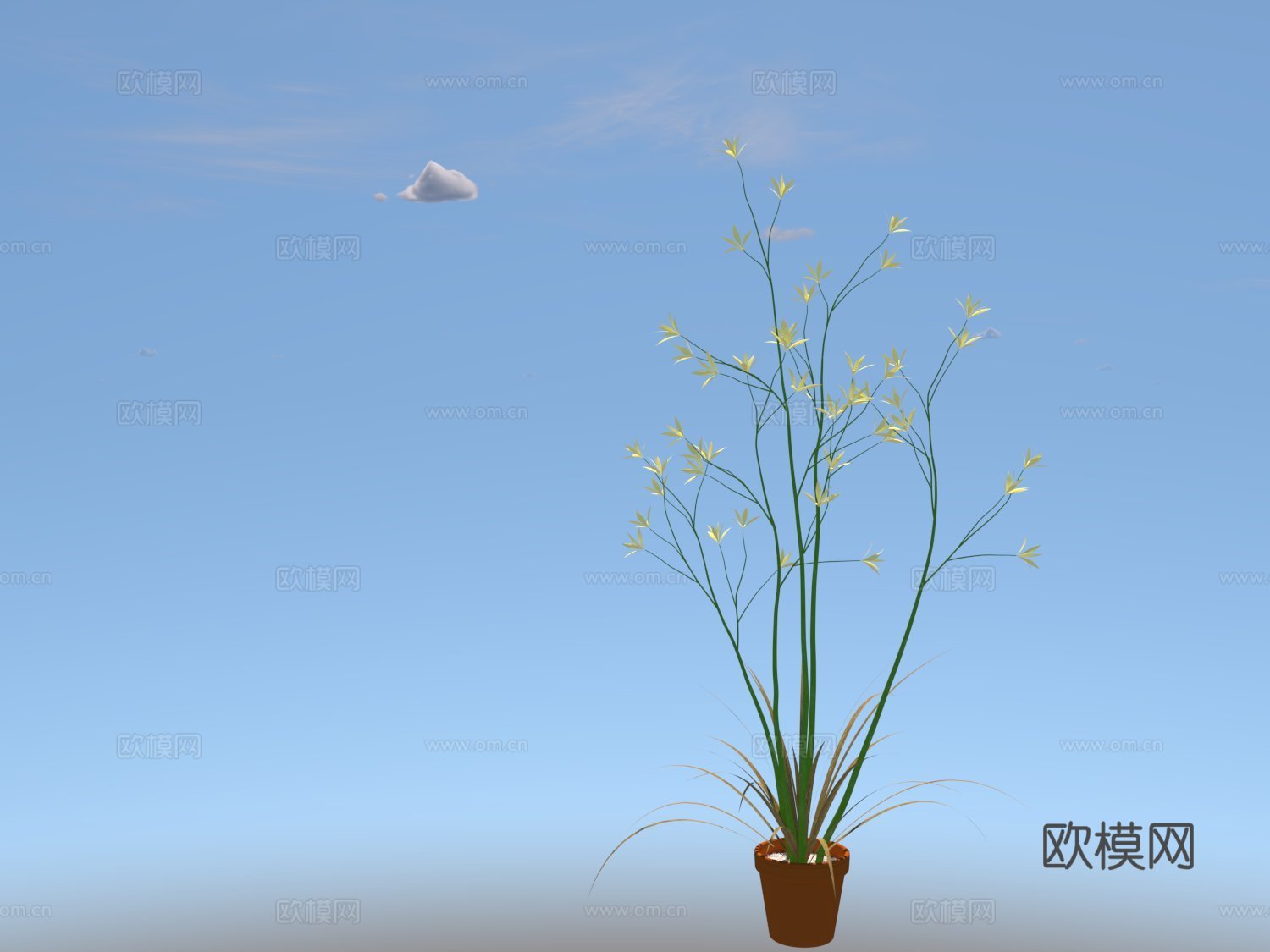 山菅兰su模型