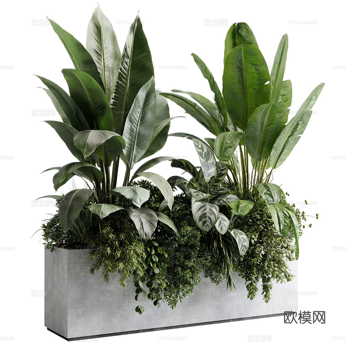 现代混凝土植物箱 盆栽3d模型