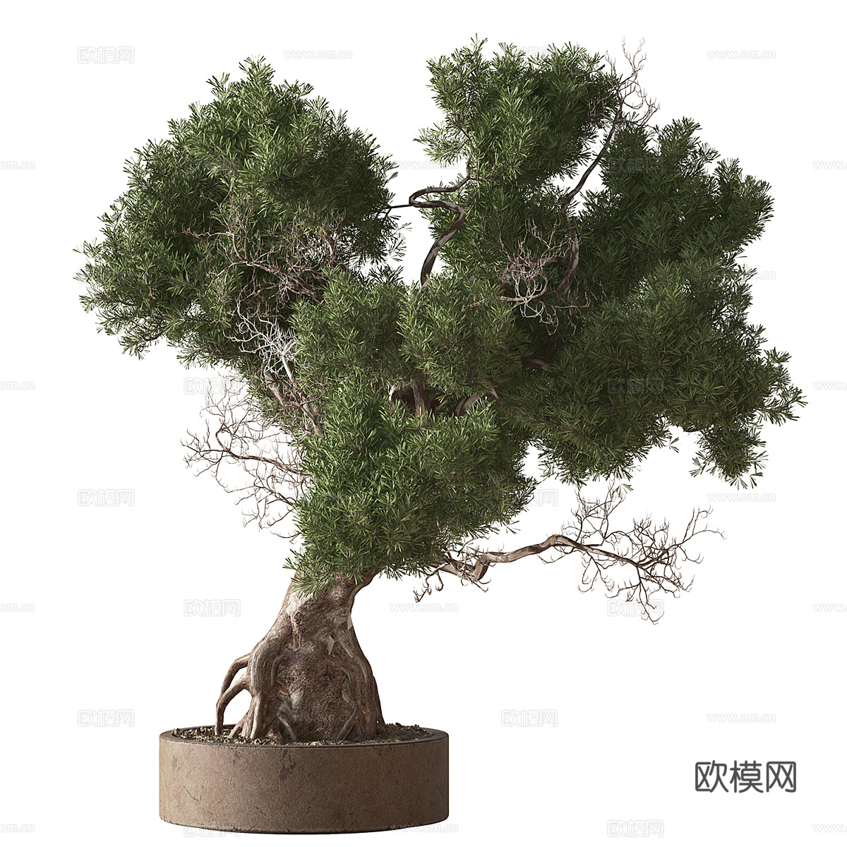 新中式绿植盆景盆栽3d模型