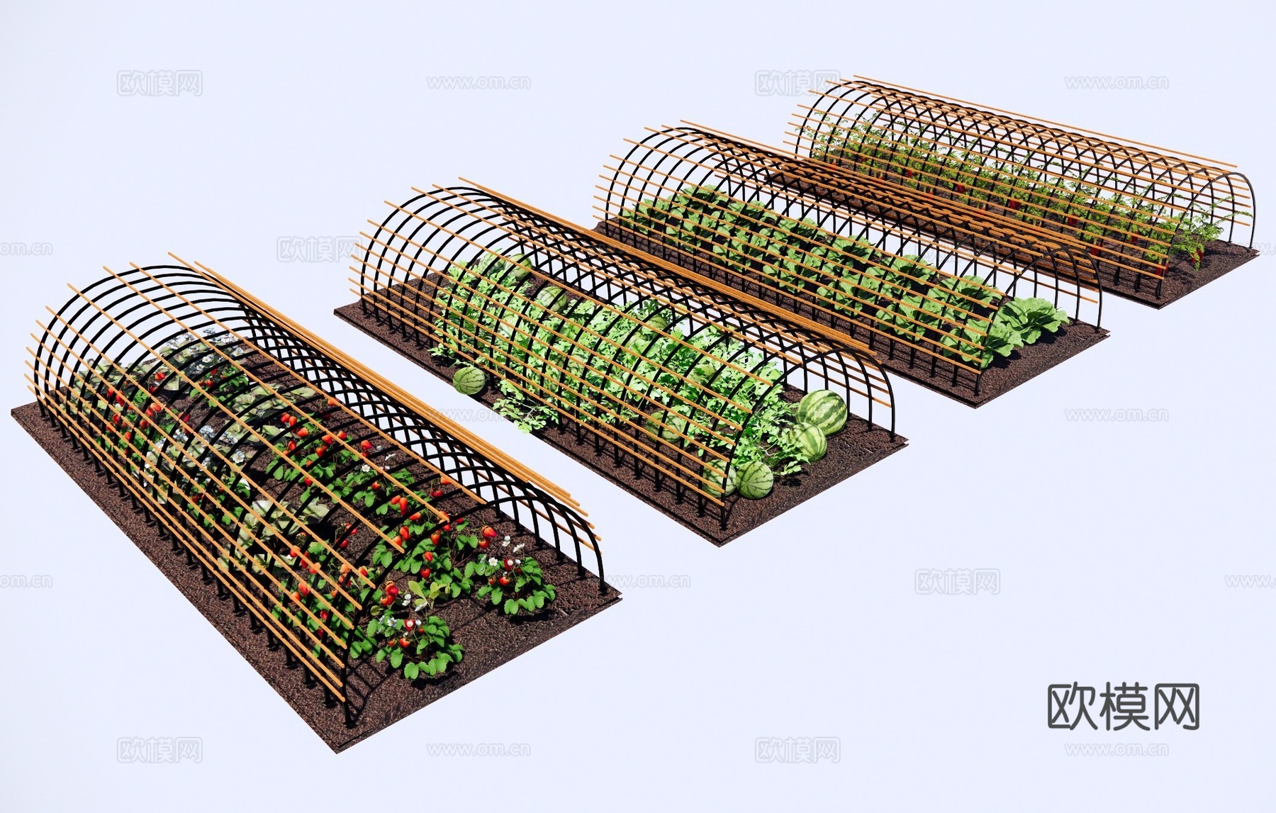 现代乡村庭院 蔬菜种植基地菜园 大棚蔬菜种植 农作物种植菜地su模型