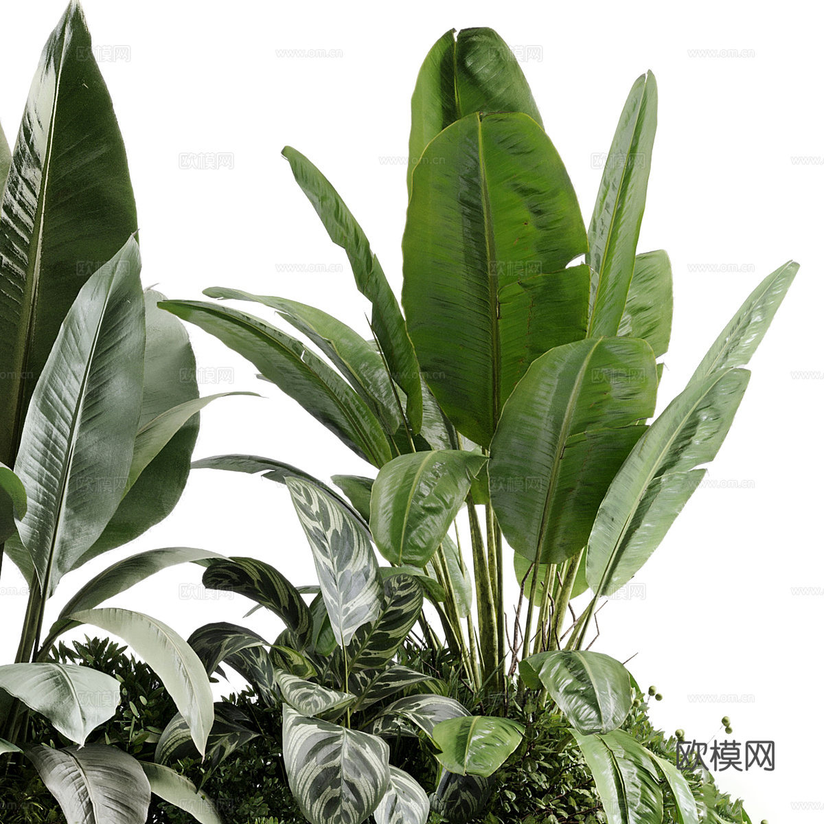 现代混凝土植物箱 盆栽3d模型