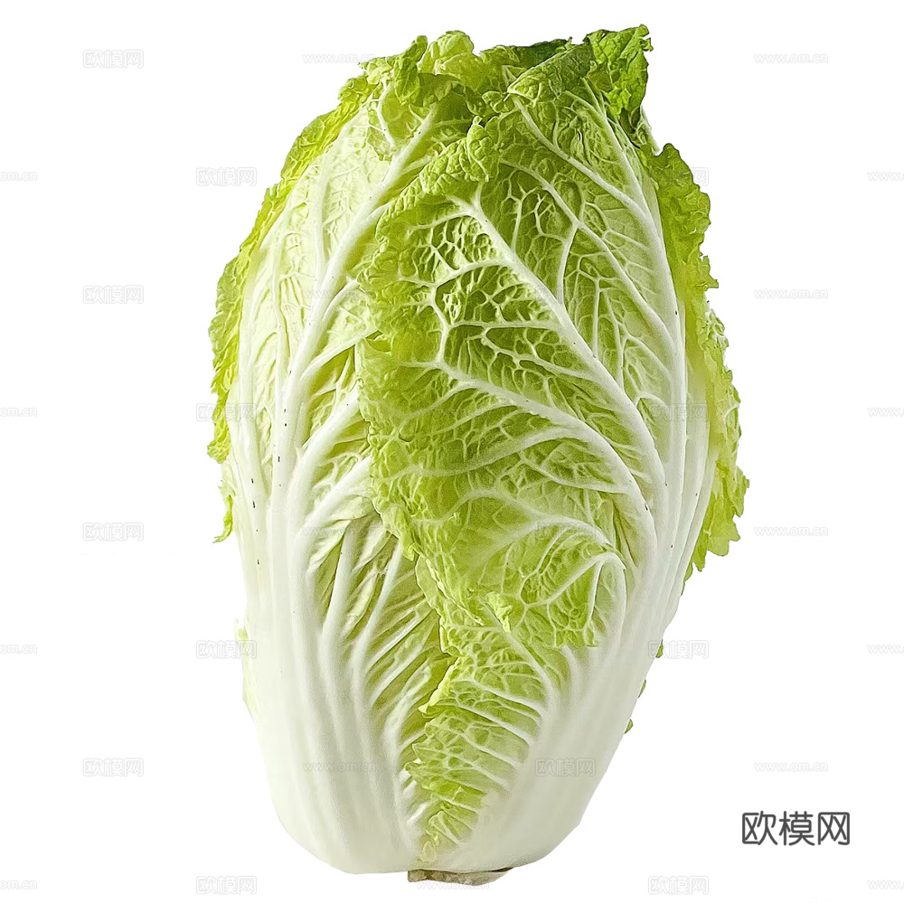 蔬菜 白菜
